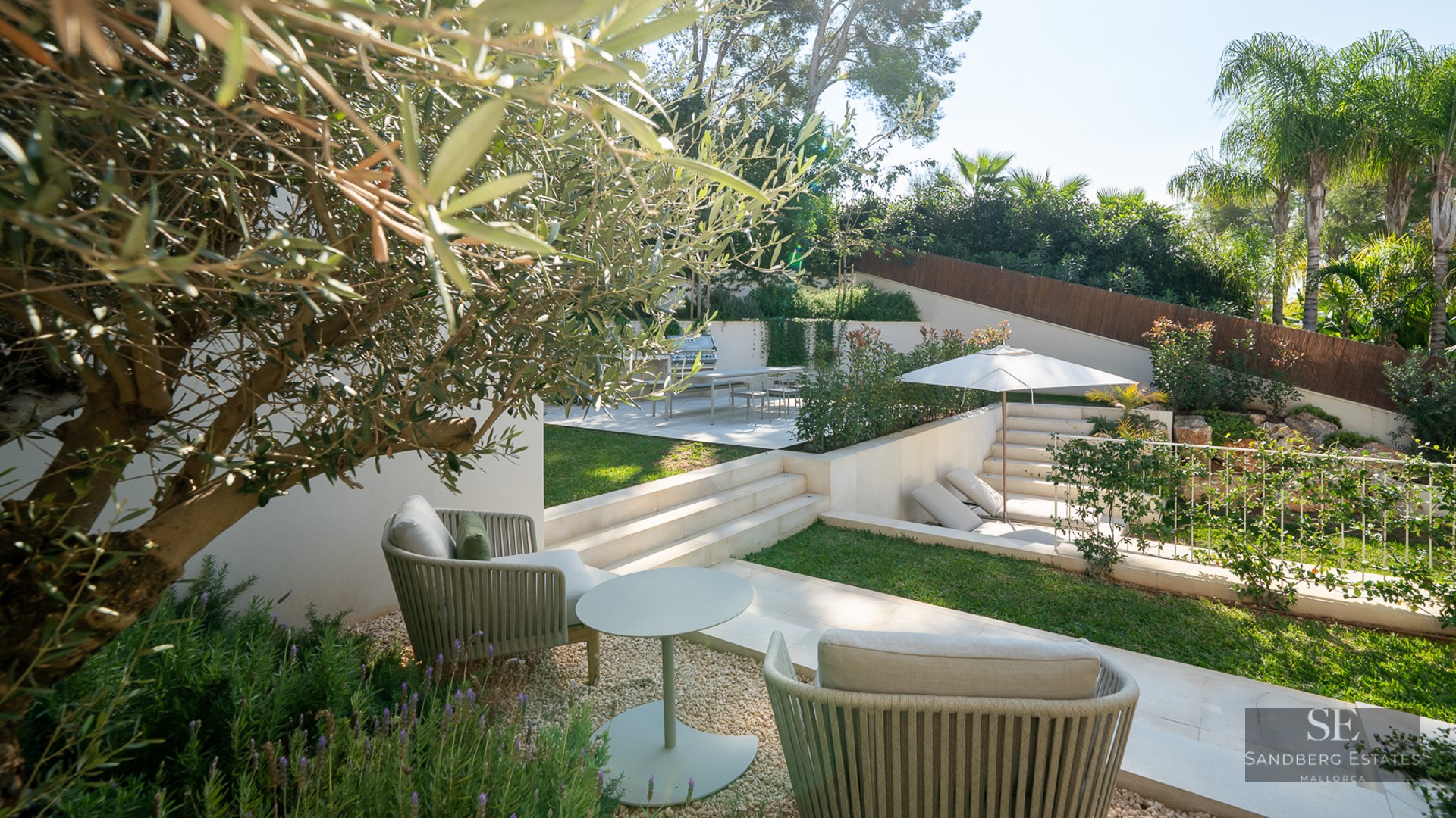 Multi-level garden featuring an olive tree, designer seating, a BBQ area, and lush lawn under bright sunlight.