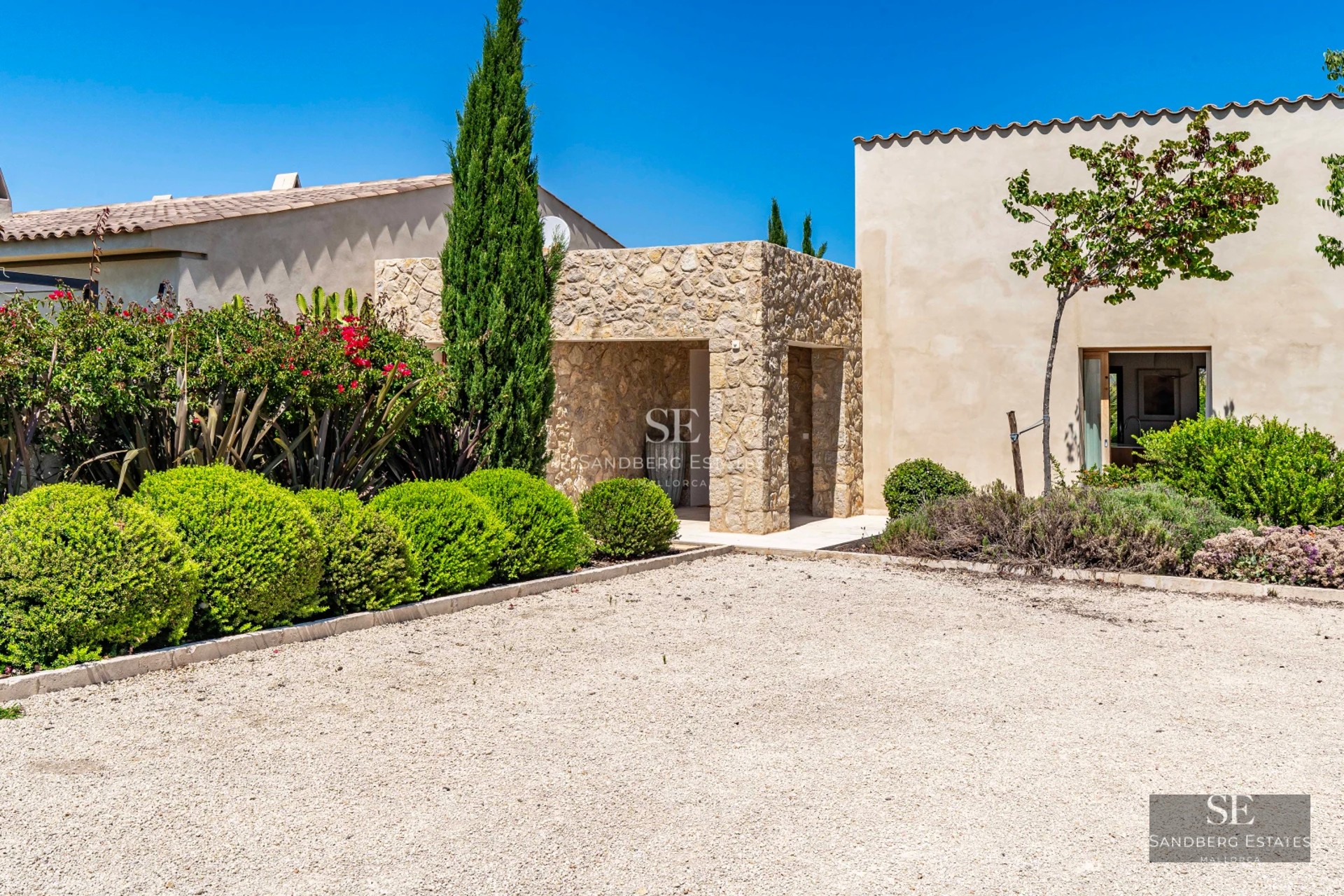 View of a modern pool surrounded by lush greenery and elegant architecture. Minimalist design with ambient lighting.