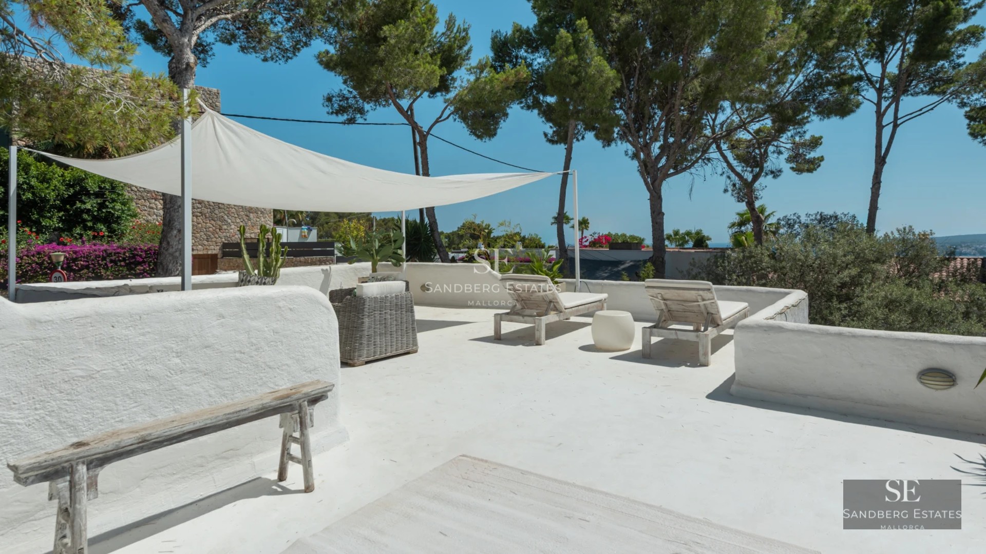 Exterior view of a luxurious villa with infinity pool. Modern architecture, large windows and lush gardens.