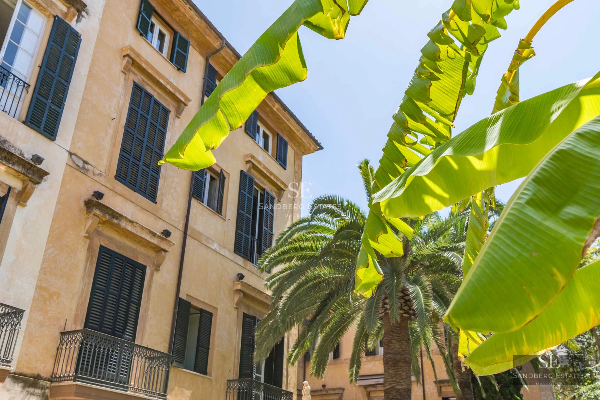 Spacious terrace with pool, sun loungers, and panoramic views. Modern design, natural lighting, and high-quality finishes.