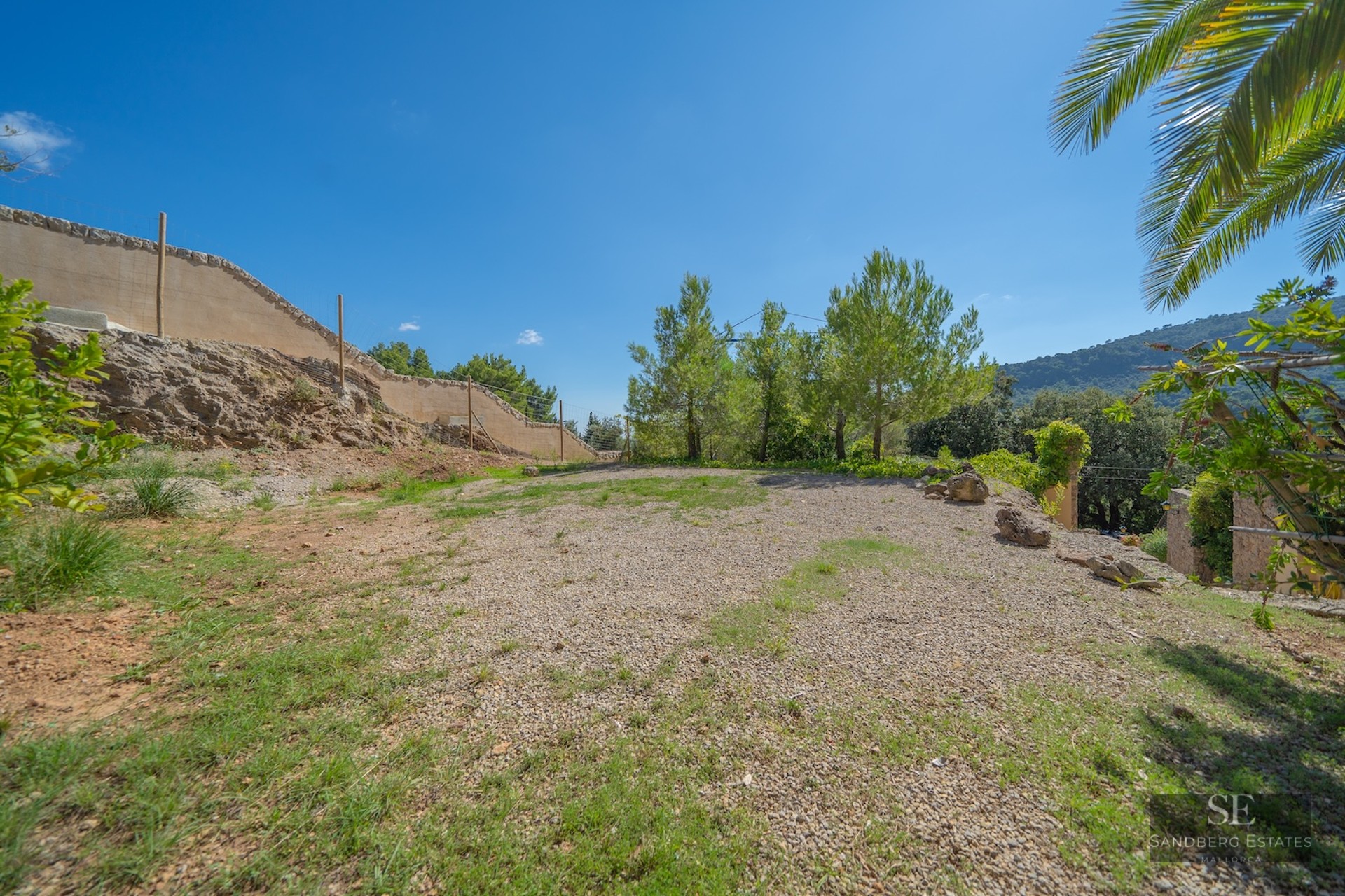 A flat gravel and grass area surrounded by pine trees and a stone wall under a clear blue sky.
