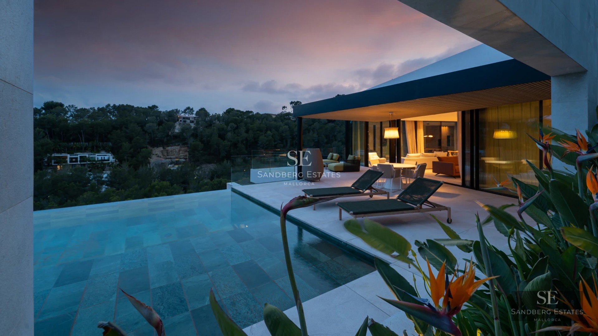 Panoramic view of a modern villa with infinity pool and lush garden. Minimalist architecture with large windows.