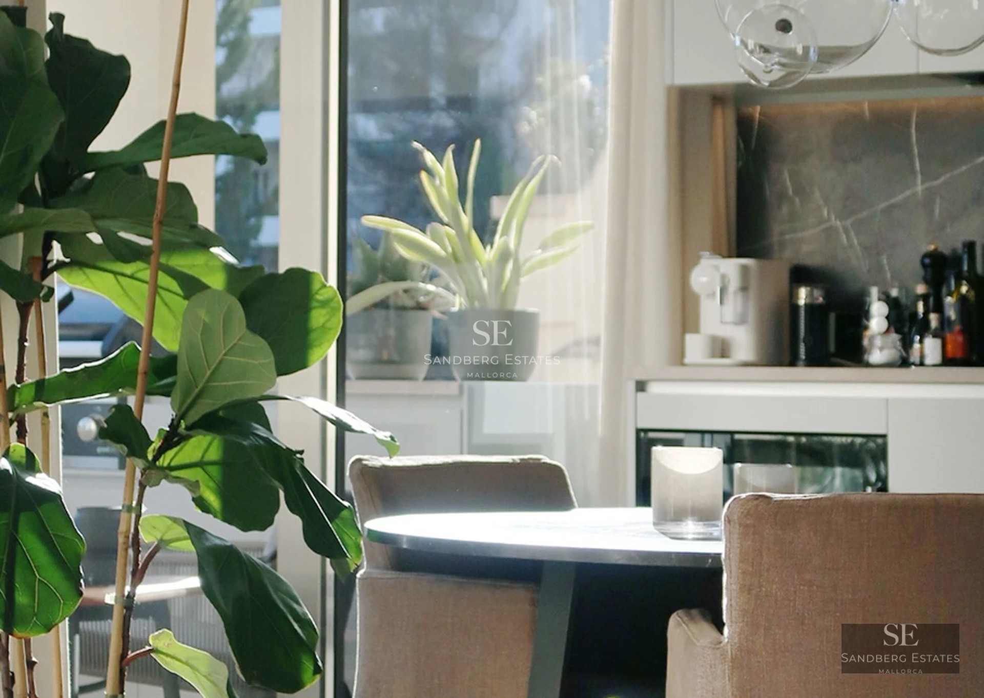 Exterior view of modern villa featuring infinity pool, lush vegetation, and contemporary architectural design. Natural lighting.