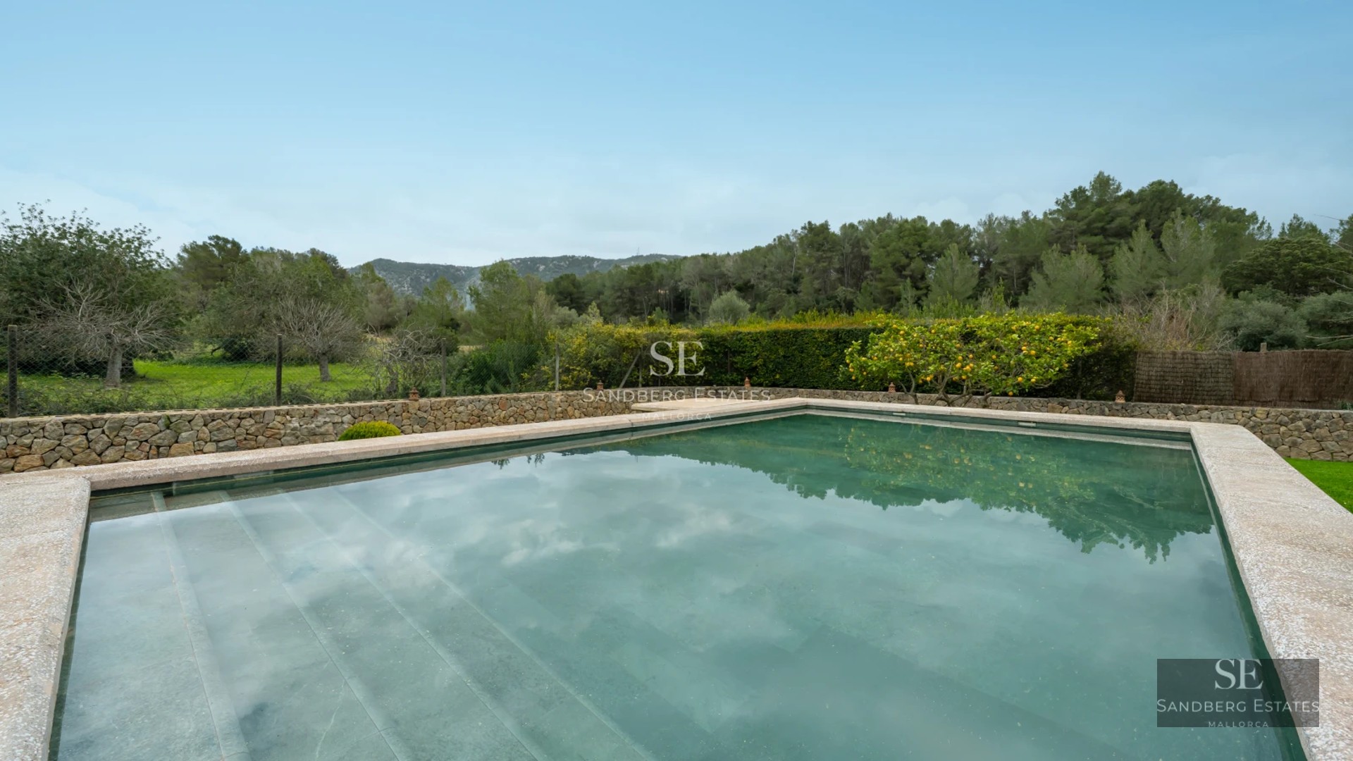 Exterior view of a modern villa with reflecting pool, lush vegetation, and minimalist architecture. Soft ambient lighting.