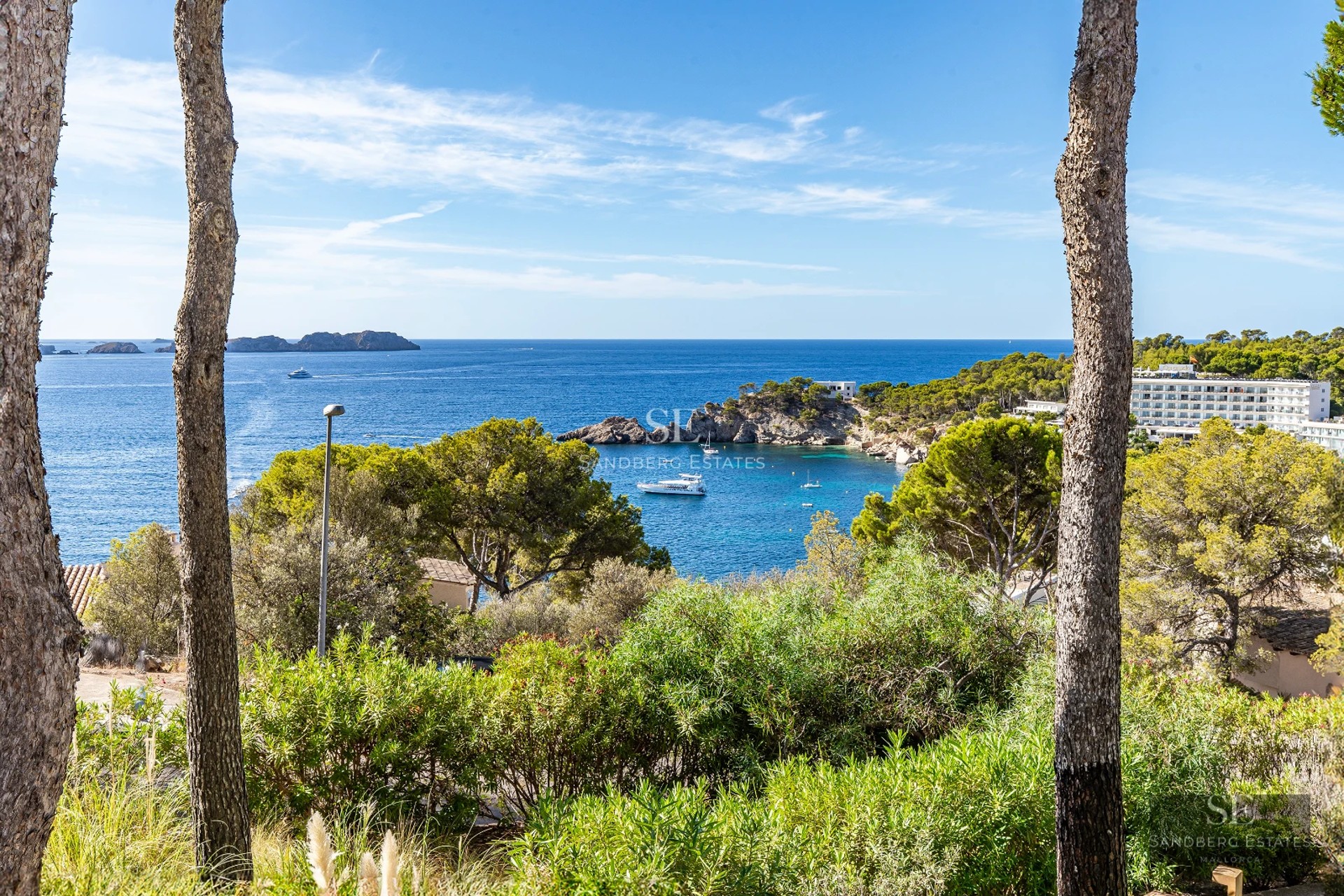 Exterior view of a modern villa with an infinity pool, surrounded by greenery. Minimalist design with large windows.