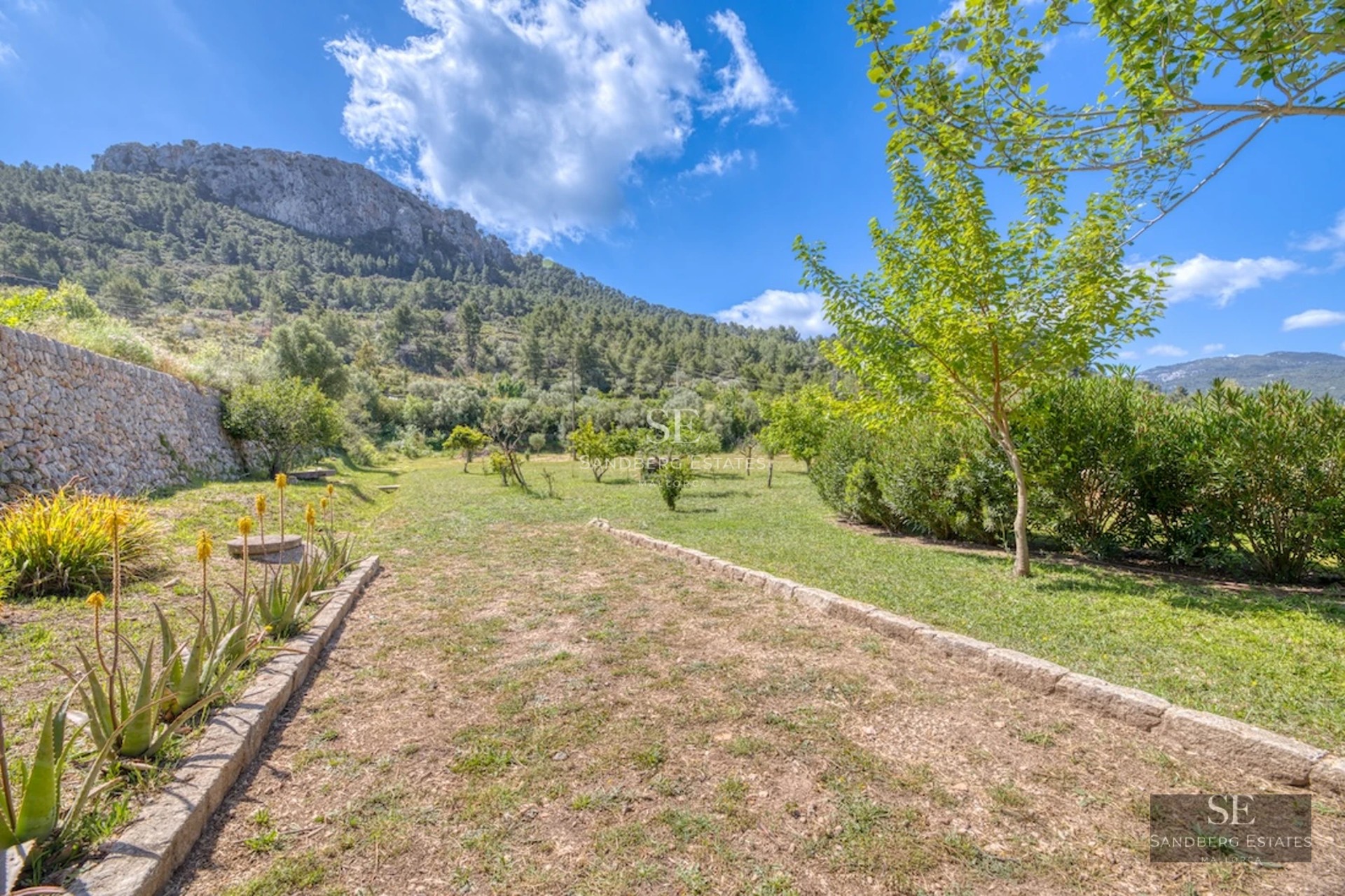 Expansive pool with loungers, surrounded by lush greenery. Modern, sleek architecture with large windows.