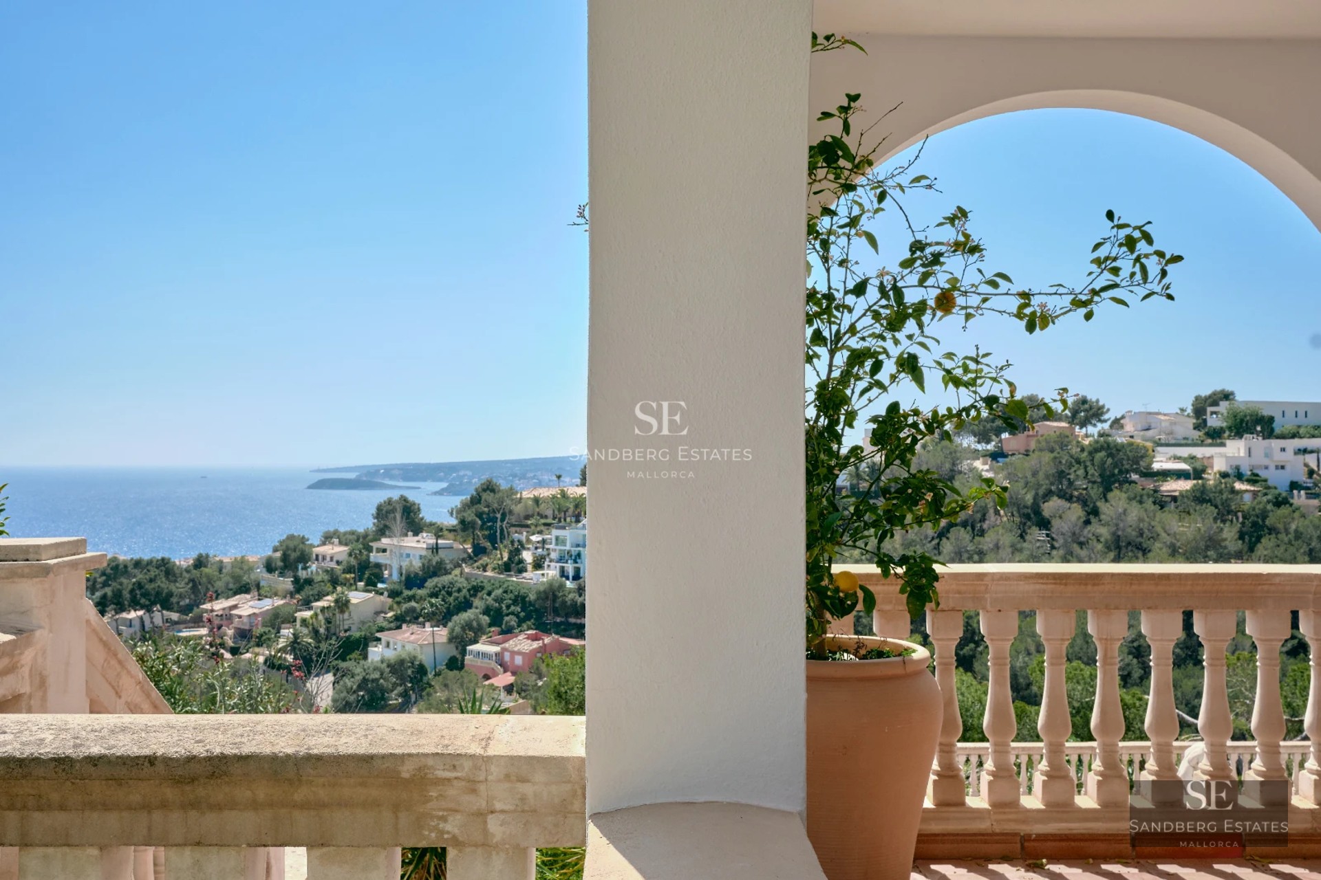Spacious living room with floor-to-ceiling windows, light wood flooring, gray modular sofa, and minimalist decor. Abundant natural light.
