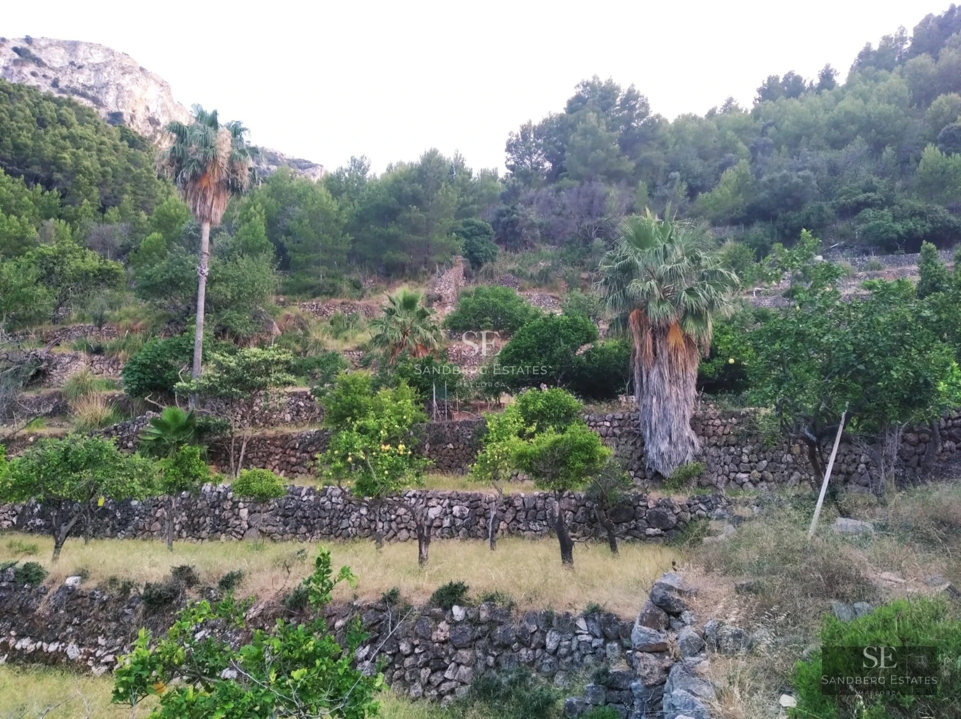 Exterior of modern villa featuring infinity pool, sun loungers, manicured garden, and minimalist architecture. Large glass windows reflect surroundings.