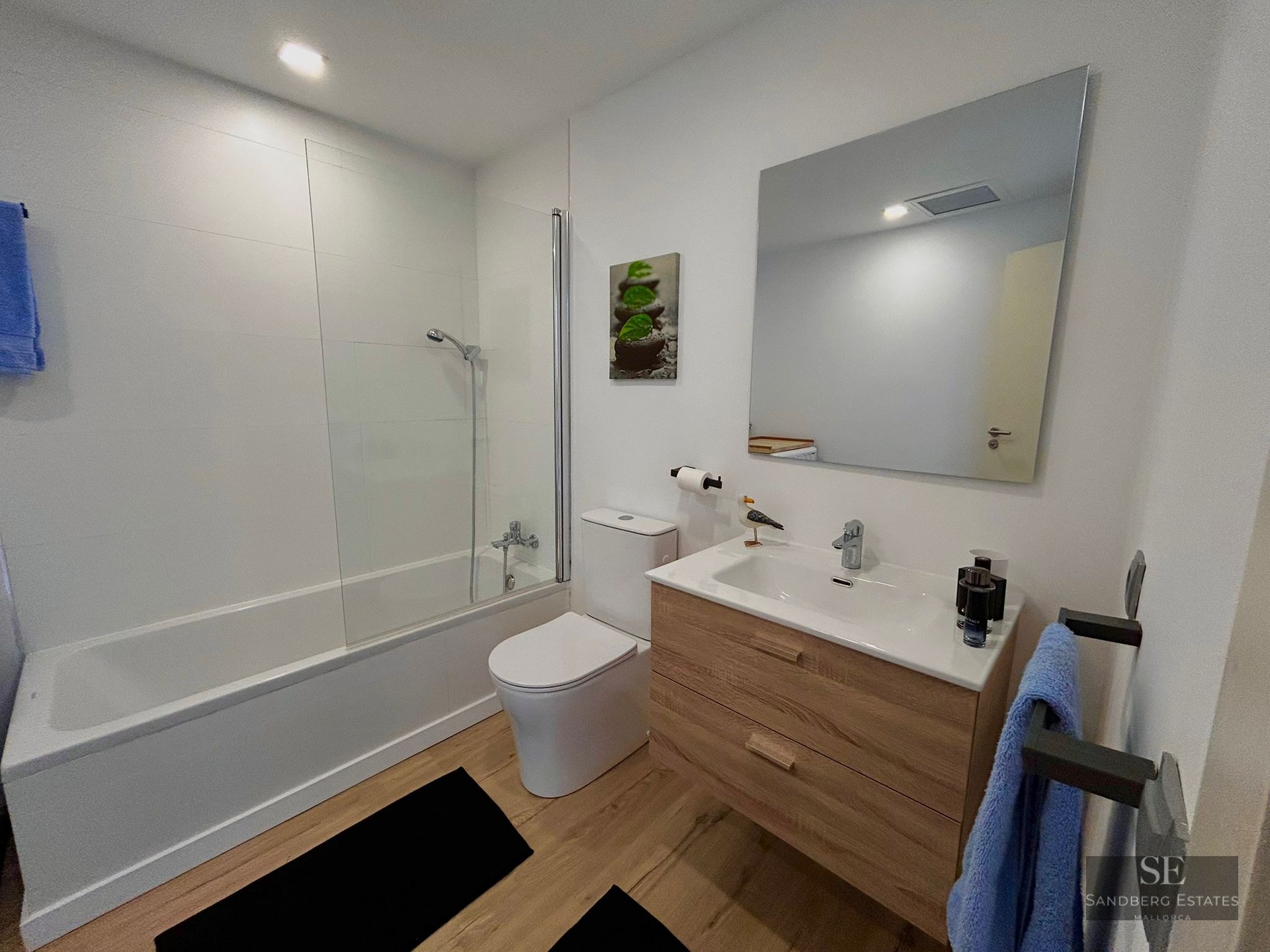 Contemporary bathroom with white walls, glass-screened bathtub, toilet, and light wood vanity unit.