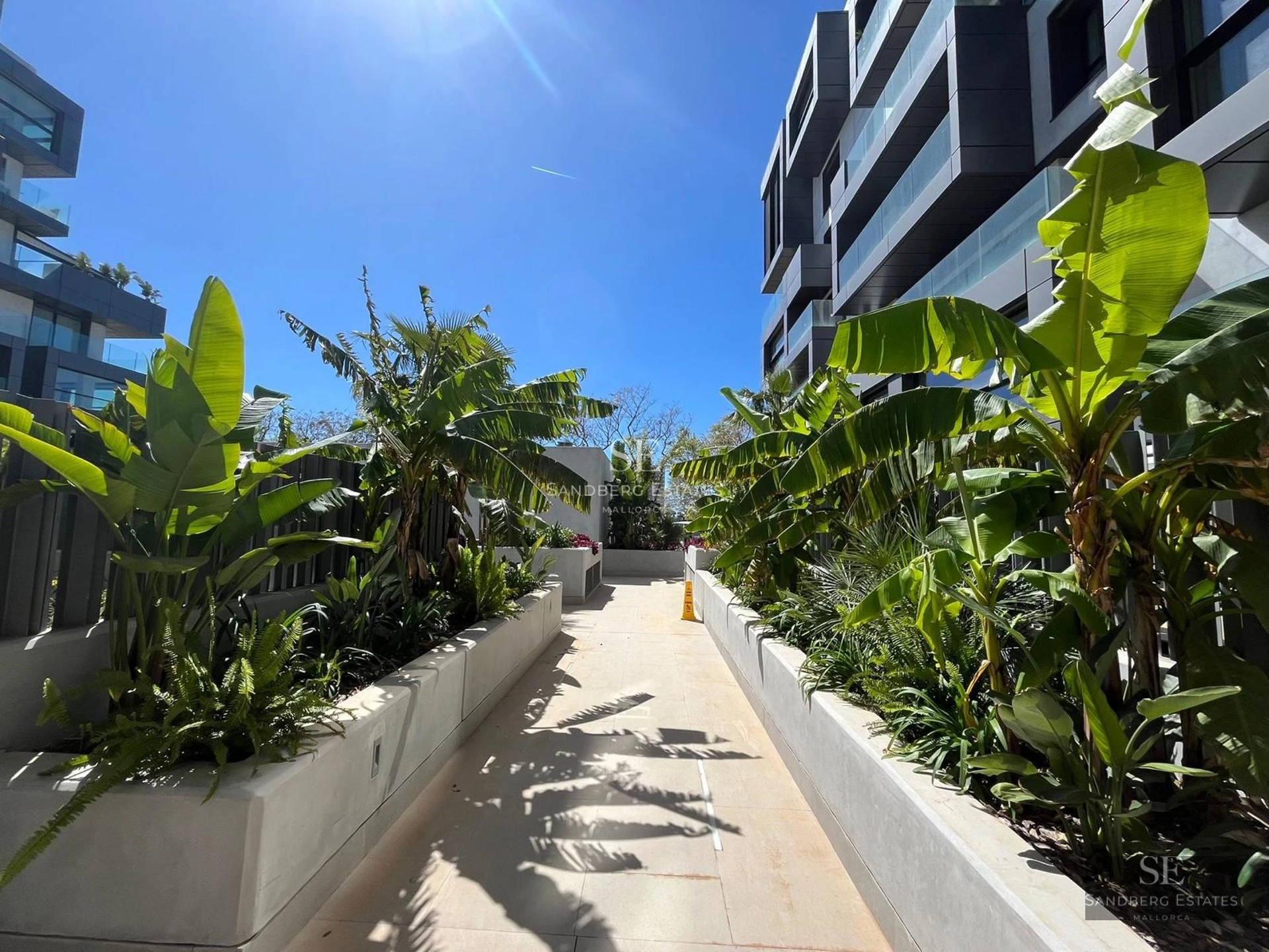 Exterior view of a modern villa featuring an infinity pool, lush garden, and expansive terraces. Minimalist and elegant architectural design.