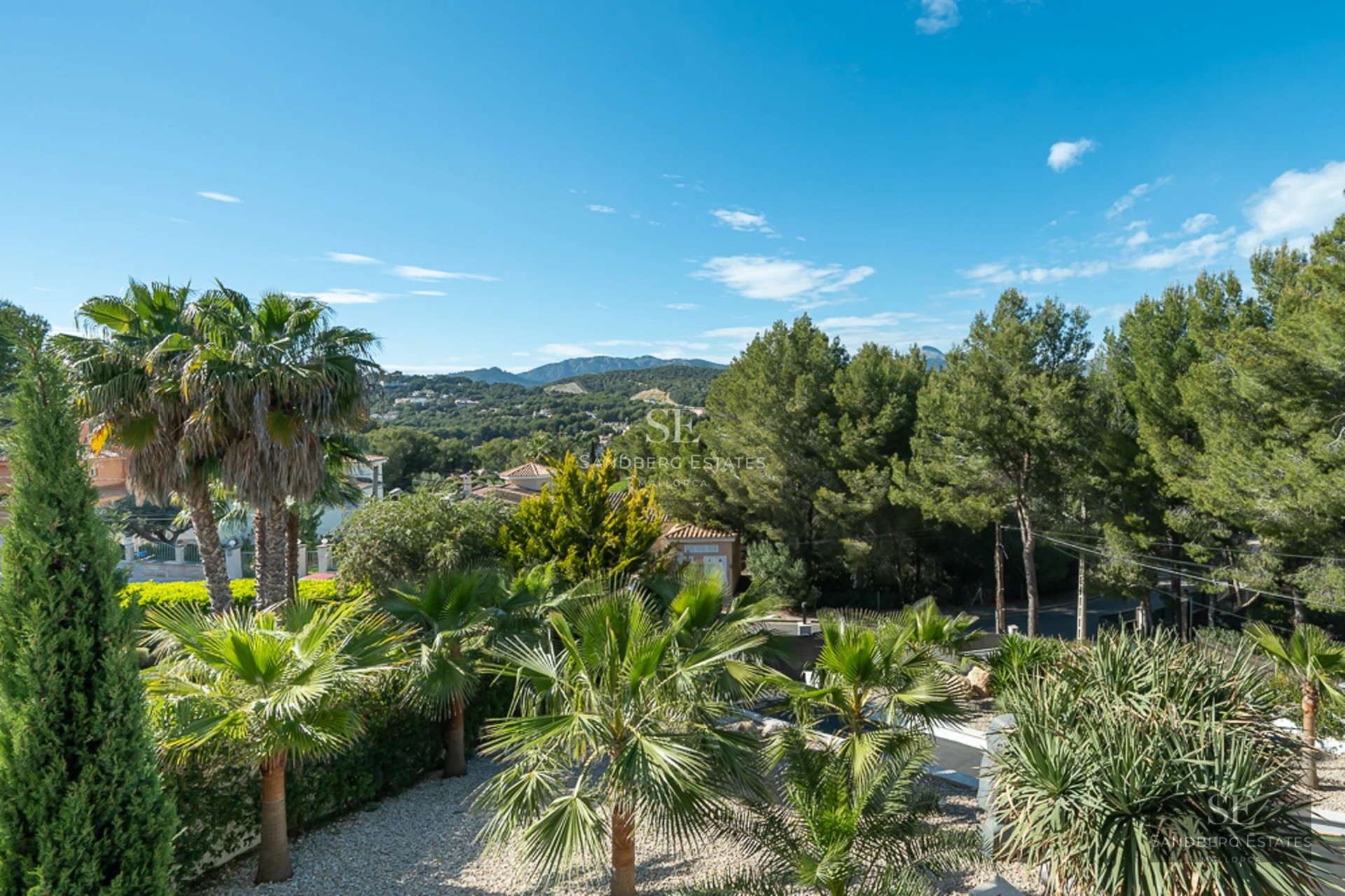 Spacious pool with terrace and lounge chairs. Modern facade with large windows and lush vegetation. Contemporary design.