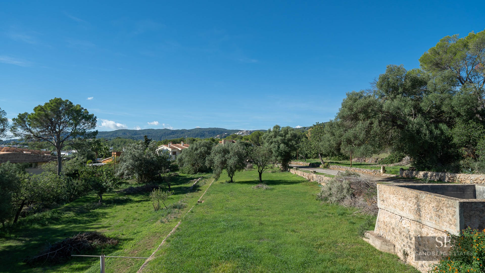 Wide view of a lush green lawn surrounded by olive trees and rustic stone walls under a clear blue sky.