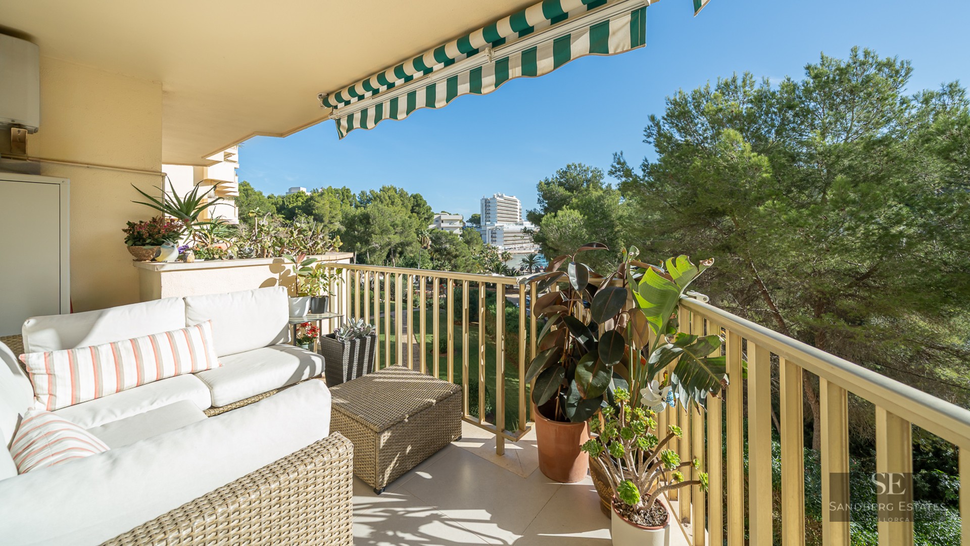 Terrasse avec canapés en osier blanc, plantes vertes et store rayé donnant sur des arbres.