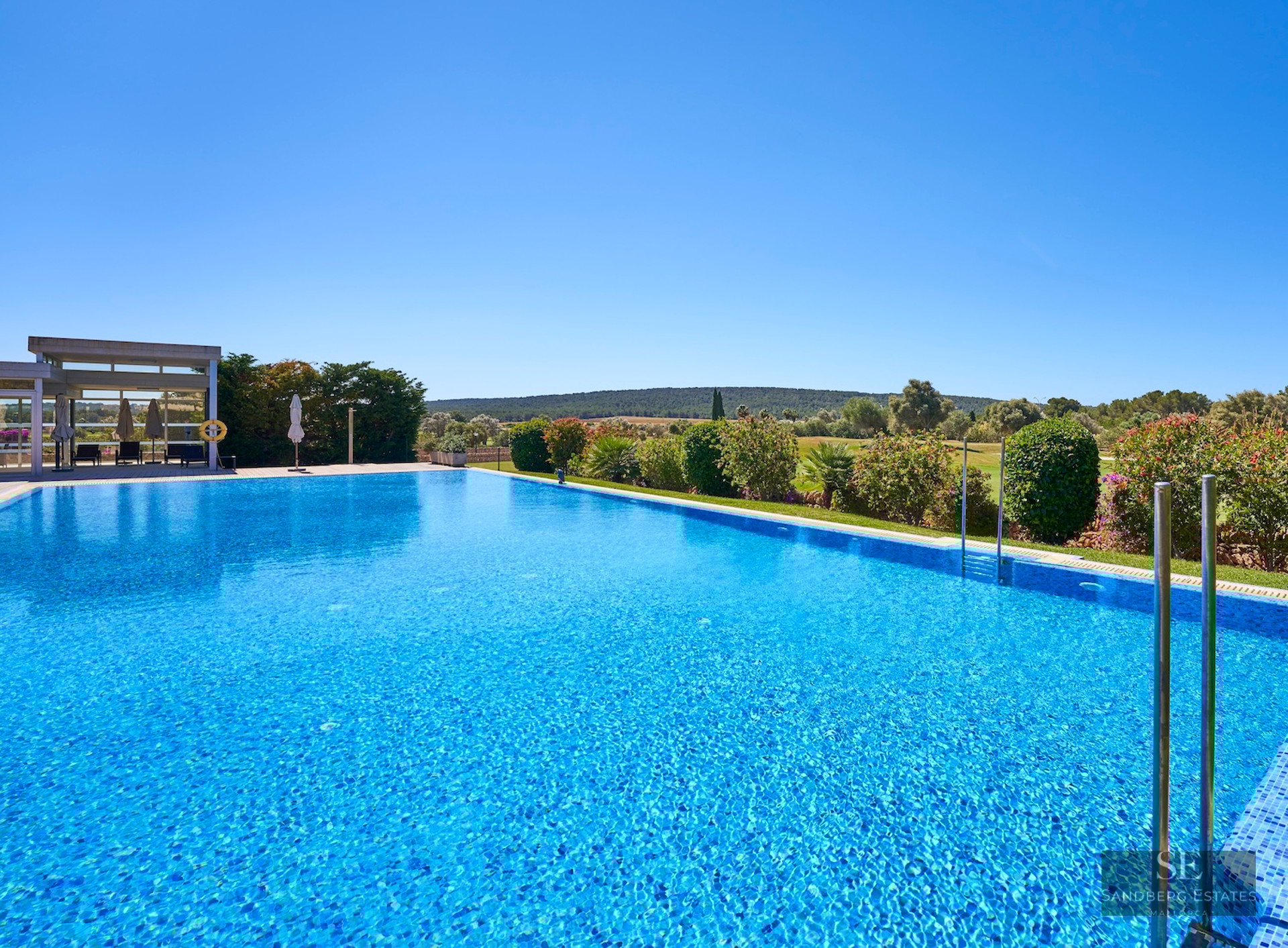 A large blue swimming pool with shimmering water, bordered by green hedges and a clear blue sky background.