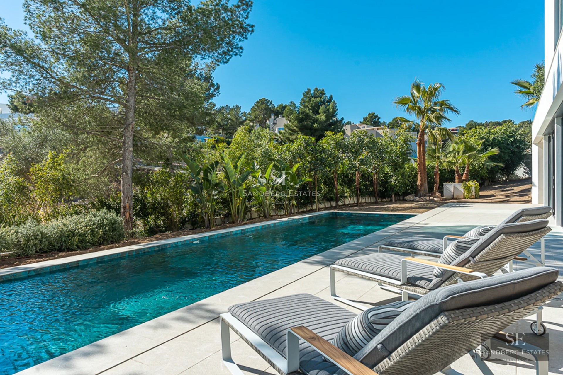Vue aérienne d'un jardin luxuriant avec piscine entourée de gazon, d'arbres et d'une maison moderne avec de grandes baies vitrées.