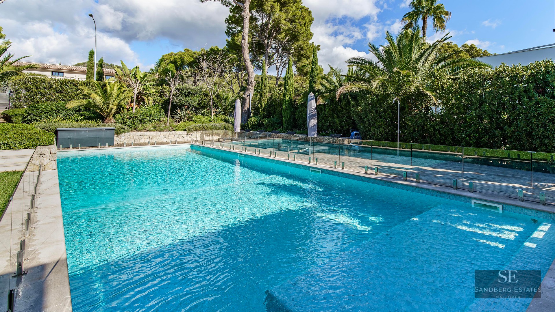 Piscine d'eau bleue cristalline avec clôture en verre entourée de palmiers et de pins.
