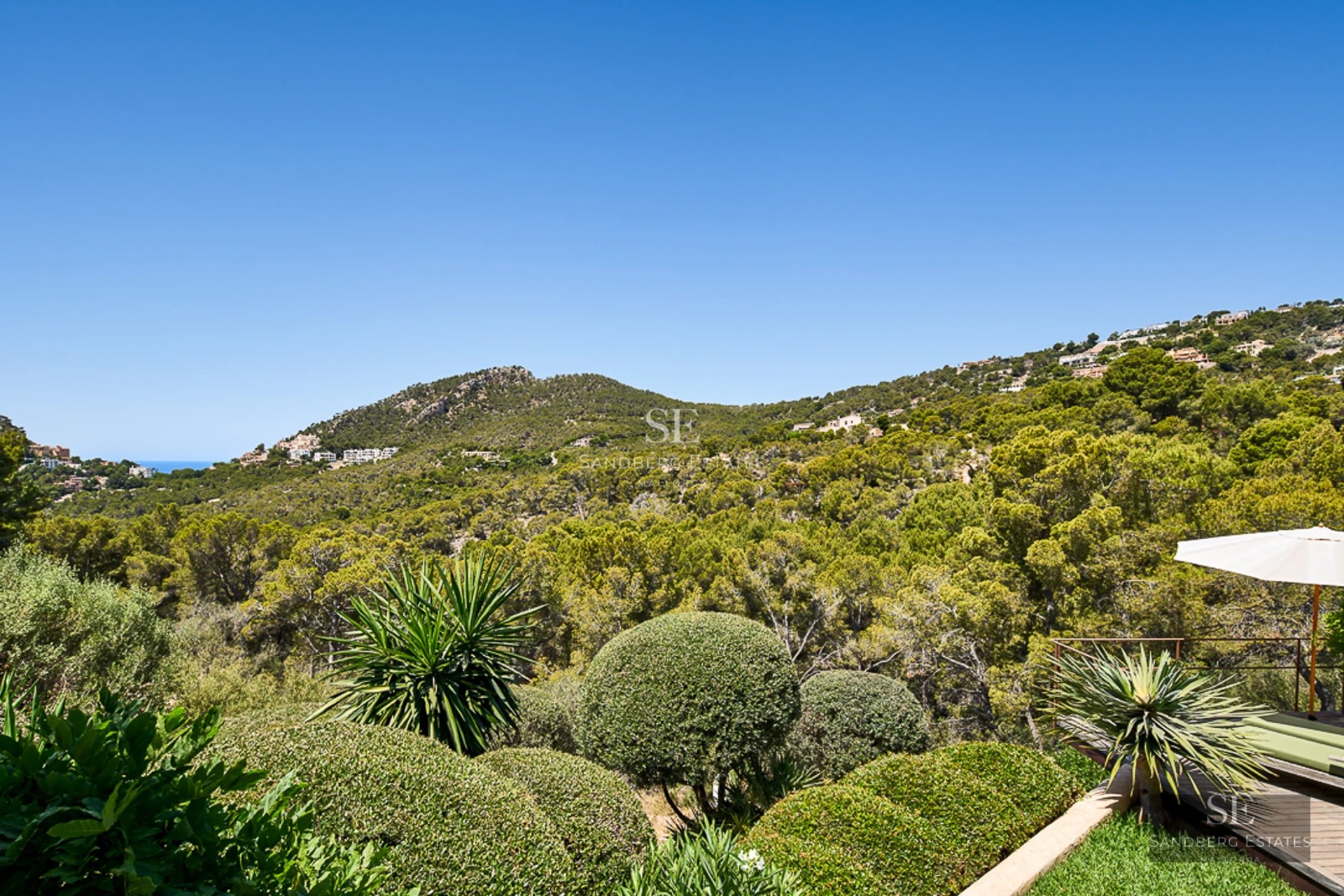 Exterior view of a modern house featuring a pool, spacious garden, and minimalist design. High-quality architectural details.