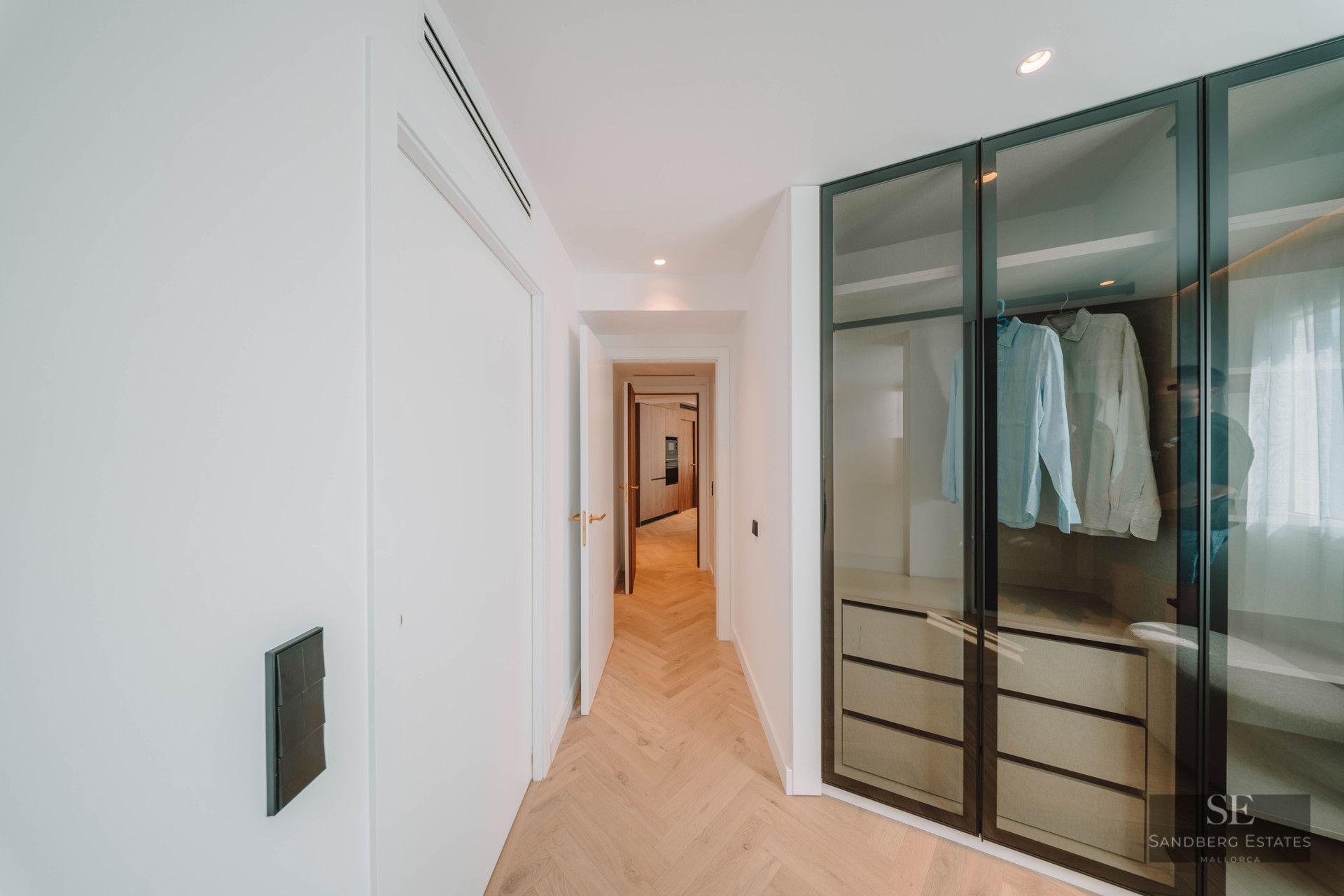 Modern hallway with herringbone wood flooring leading to a walk-in closet featuring glass doors and black frames.