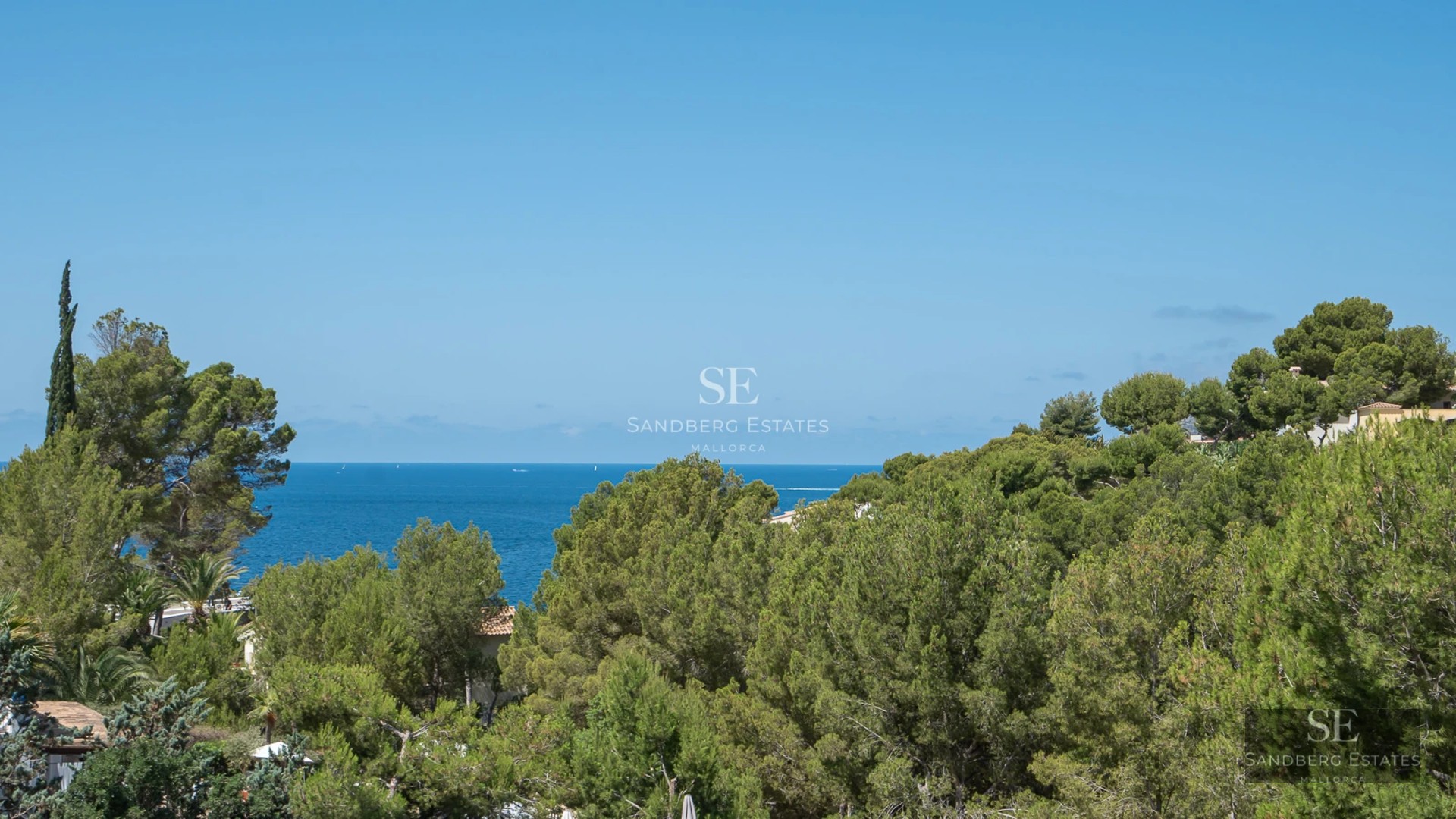 Spacious living room with panoramic windows, light wood floors, and minimalist decor. Stunning ocean views.