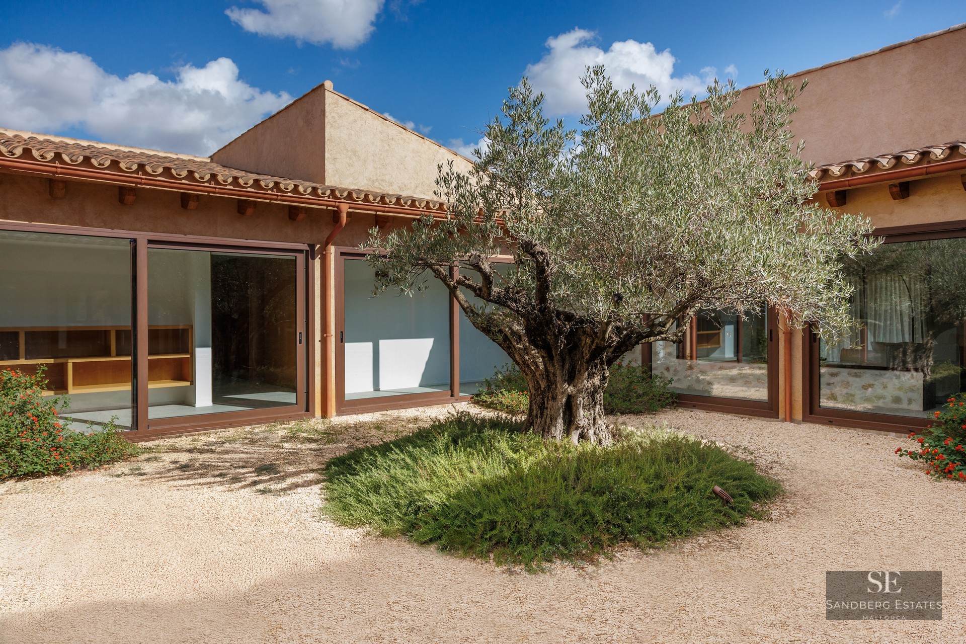 Courtyard with a large olive tree in a gravel garden surrounded by a Mediterranean building with large glass windows.