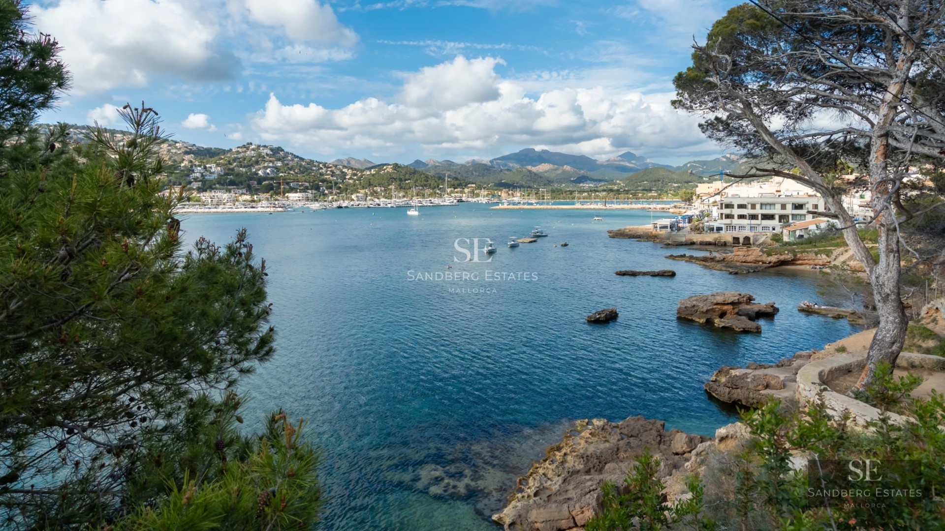 Exterior view of a modern house with a swimming pool, lush garden, and large windows. Minimalist design and natural light.