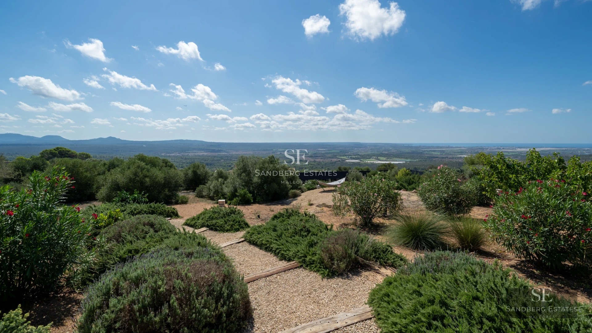 Exterior view of modern house with infinity pool surrounded by greenery. Minimalist architecture, glass fronts and design details.