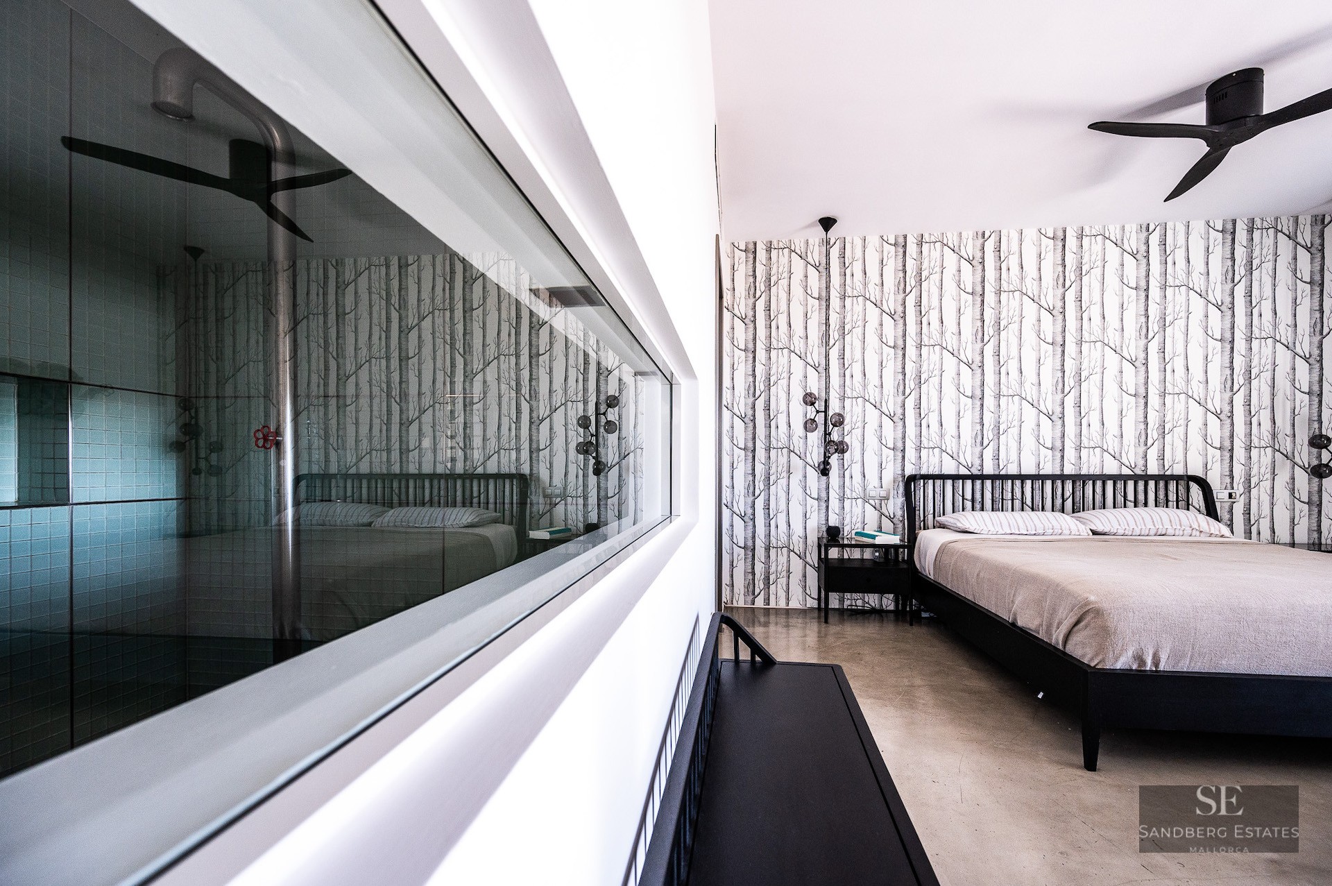 Modern bedroom featuring a black bed, birch tree wallpaper, and a large internal glass window reflecting the space.