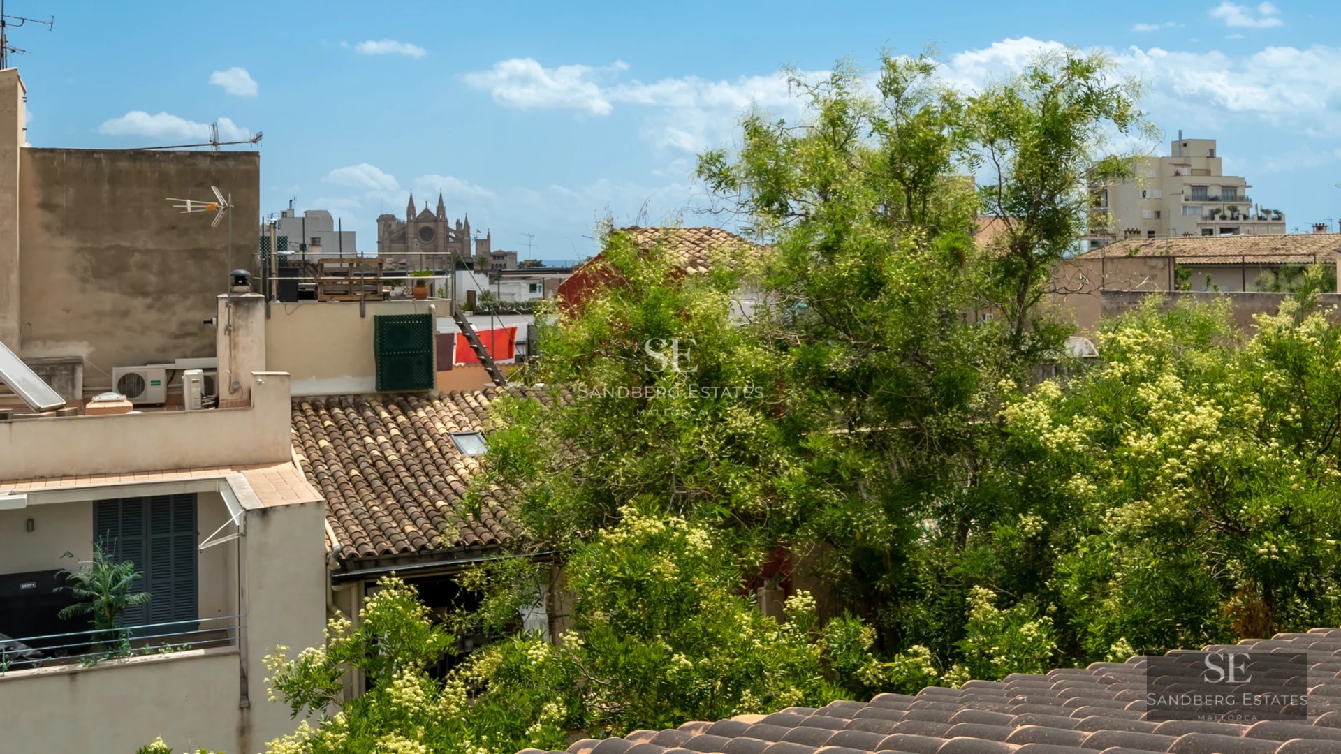 Spacious living room with floor-to-ceiling windows, designer sofas, textured rug and modern shelving. Natural light and exterior views.