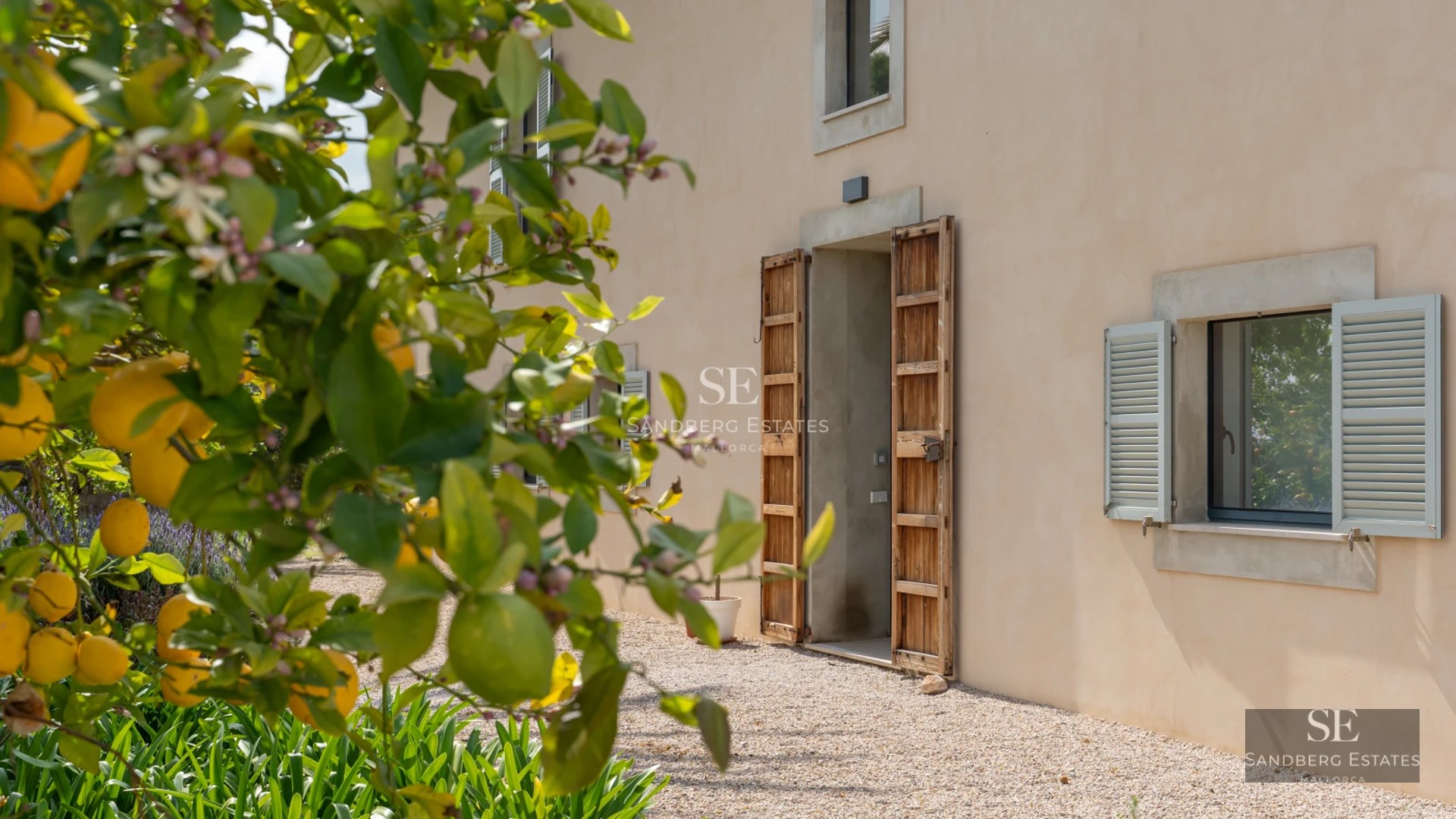 Exterior view of a modern villa featuring an infinity pool, landscaped garden, and spacious terraces. Contemporary design and high-end finishes.