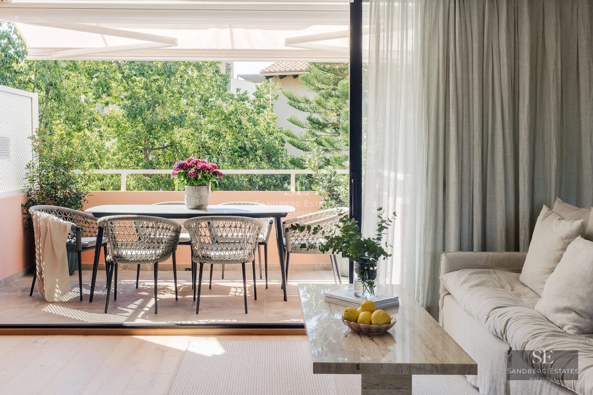 Exterior view of modern villa featuring an infinity pool, lush garden, and minimalist facade with large windows.