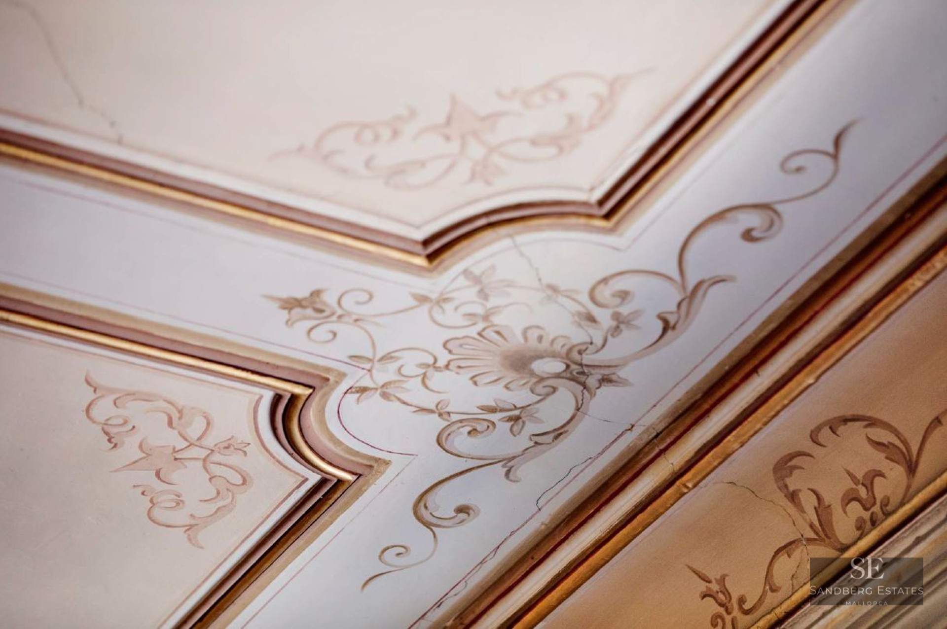 Close-up of ornate ceiling molding with hand-painted floral filigree in cream and gold.