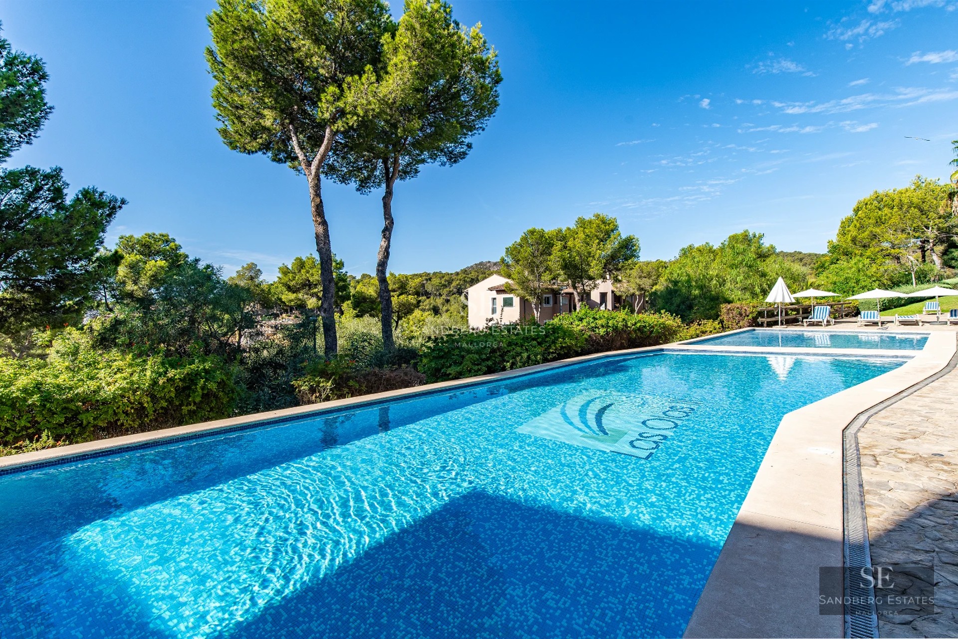 Exterior view of a modern villa with an infinity pool, large windows, and minimalist design. Lush garden and clear sky.