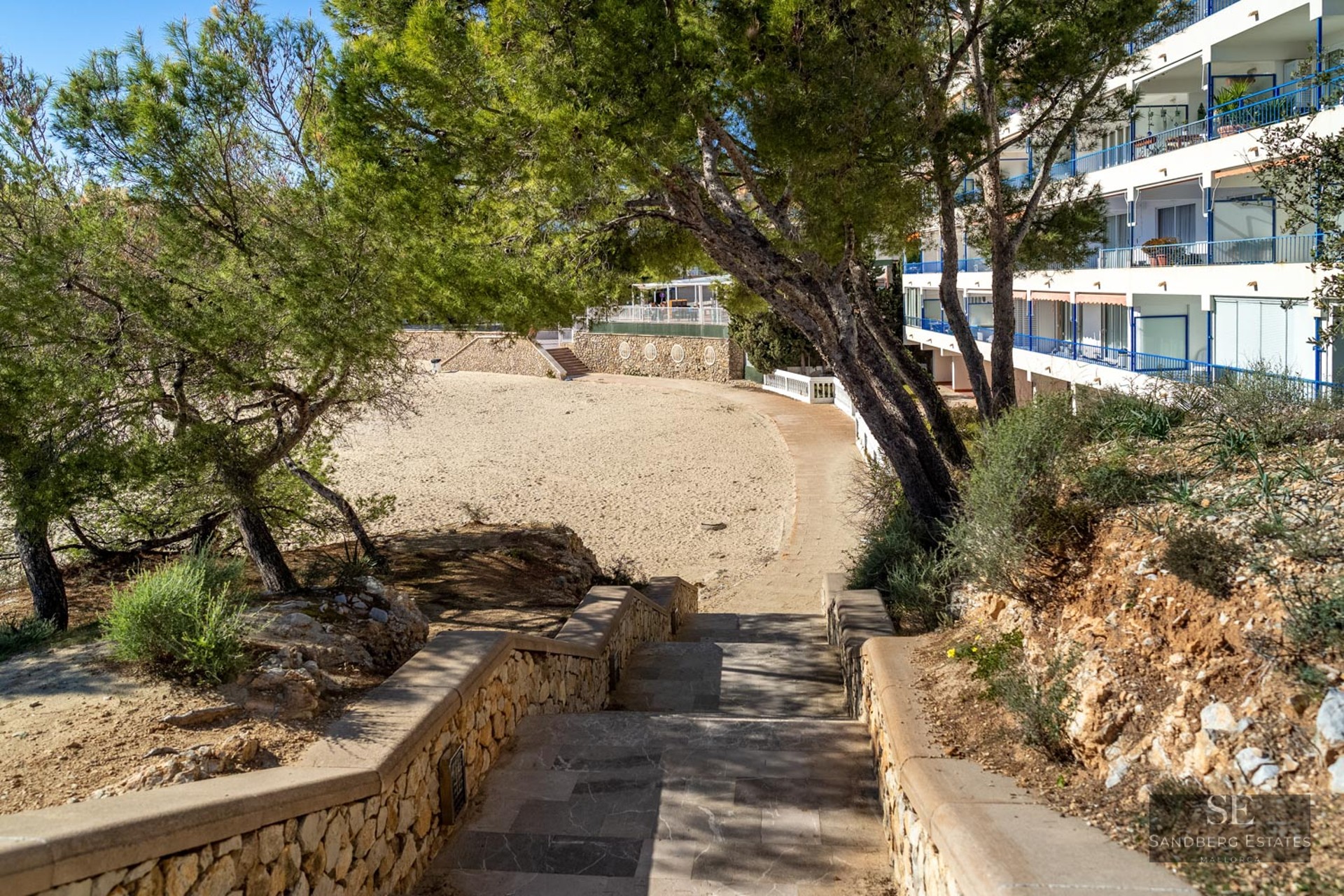 Stone stairs leading down to a sandy area, surrounded by pine trees next to a white apartment building.