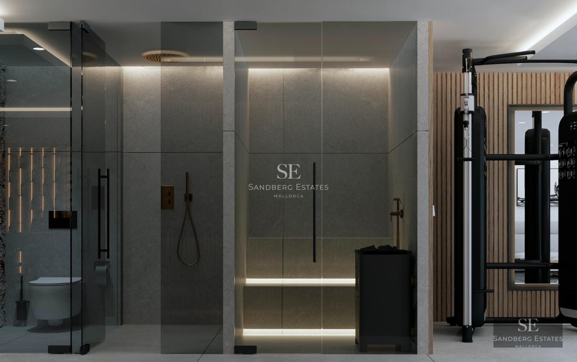 Exterior view of a luxurious modern villa with an infinity pool. Minimalist design, large windows, and well-maintained gardens.