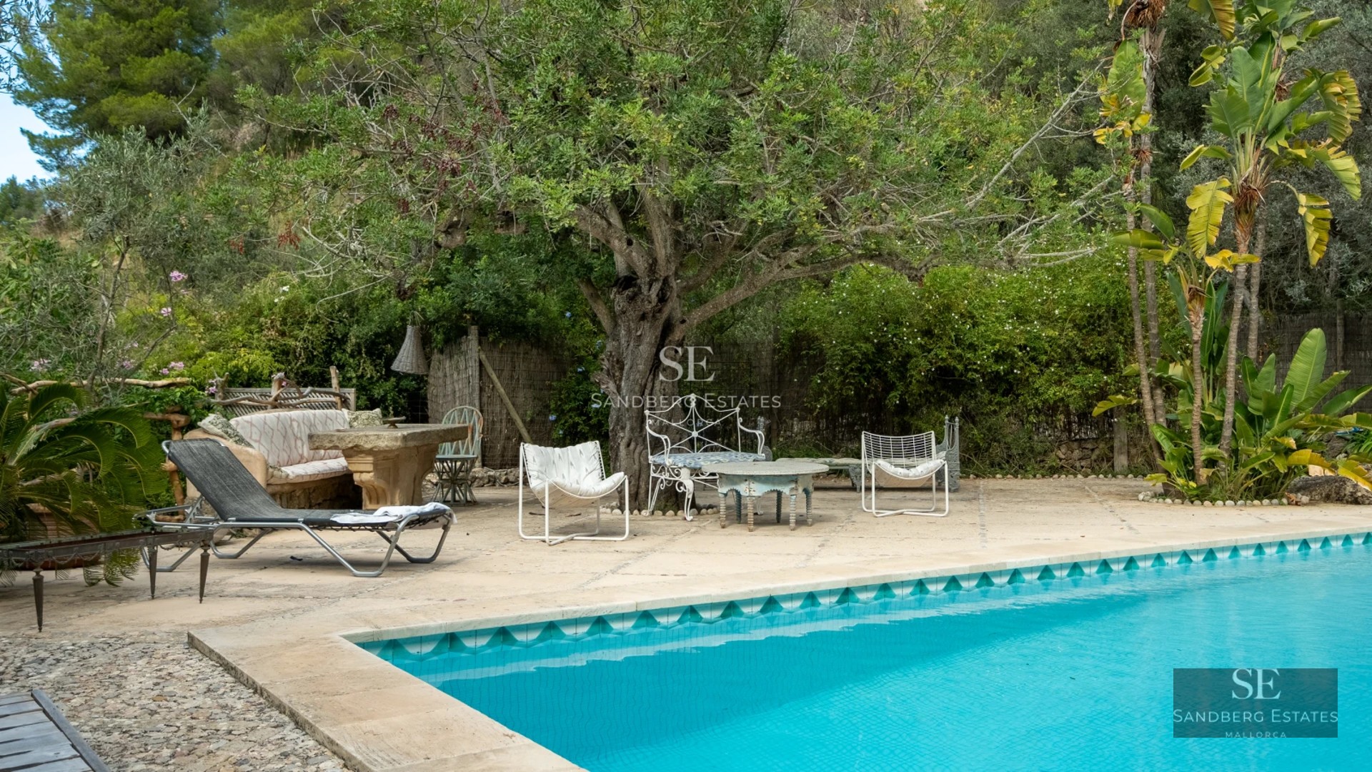 Exterior view of a modern villa with pool, garden and large windows. Minimalist architecture and elegant design.