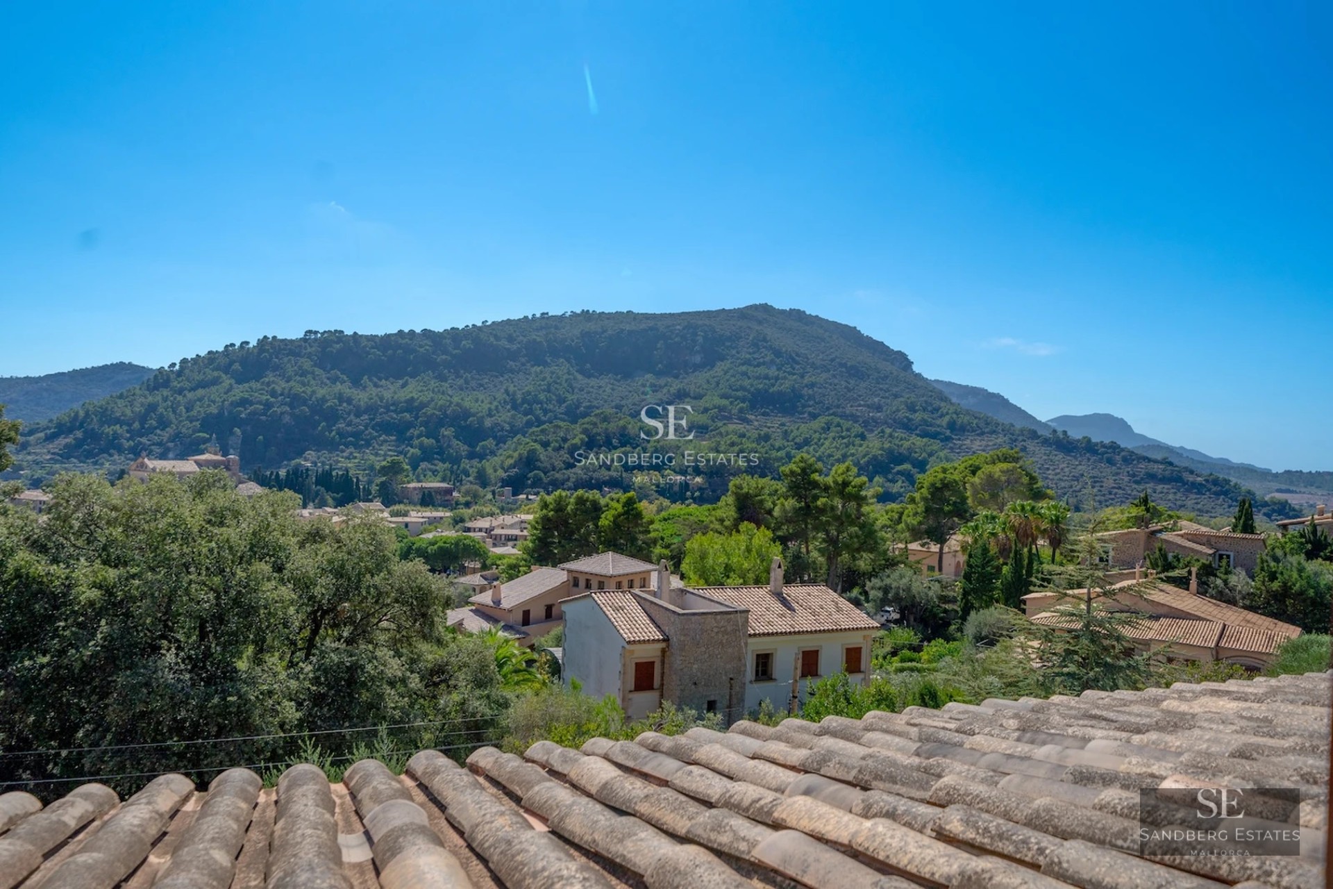 Exterior view of a modern house with a pool, surrounded by lush greenery and large windows.