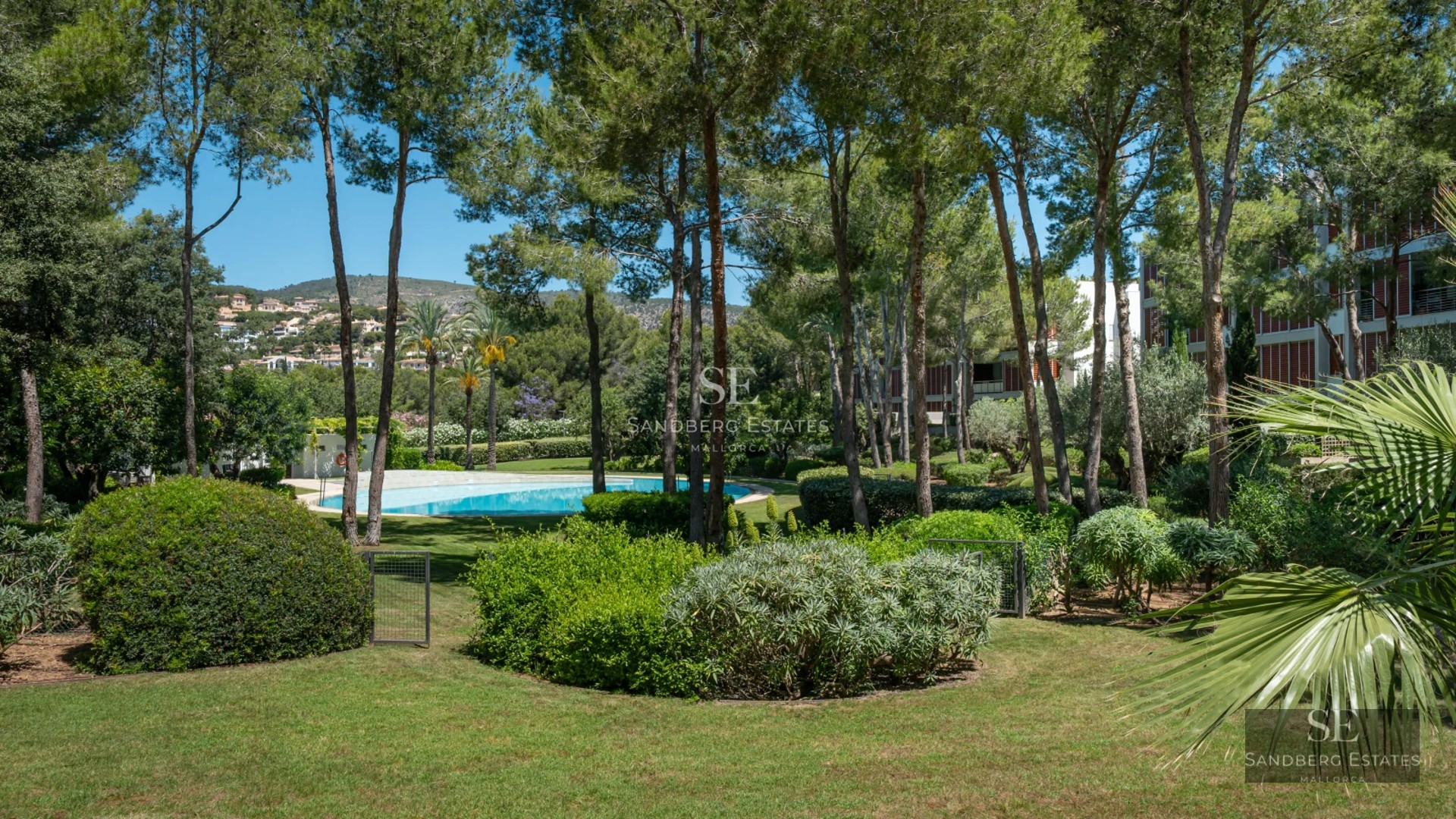Bright living room featuring large windows, an infinity pool, and modern furniture. Panoramic view. Elegant and minimalist design.