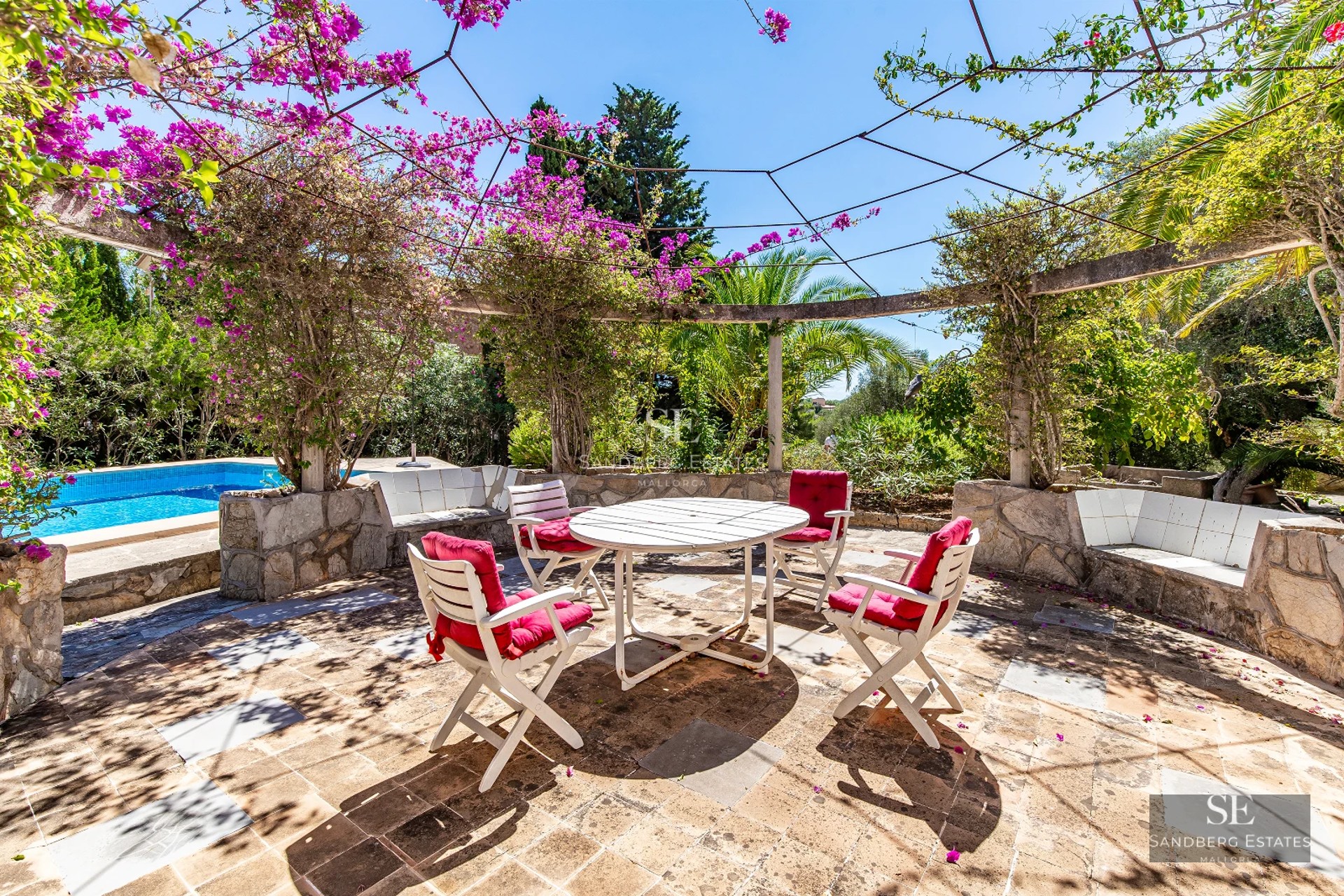 Exterior view of a modern house with a pool, garden area and ample space. Natural lighting and minimalist design.