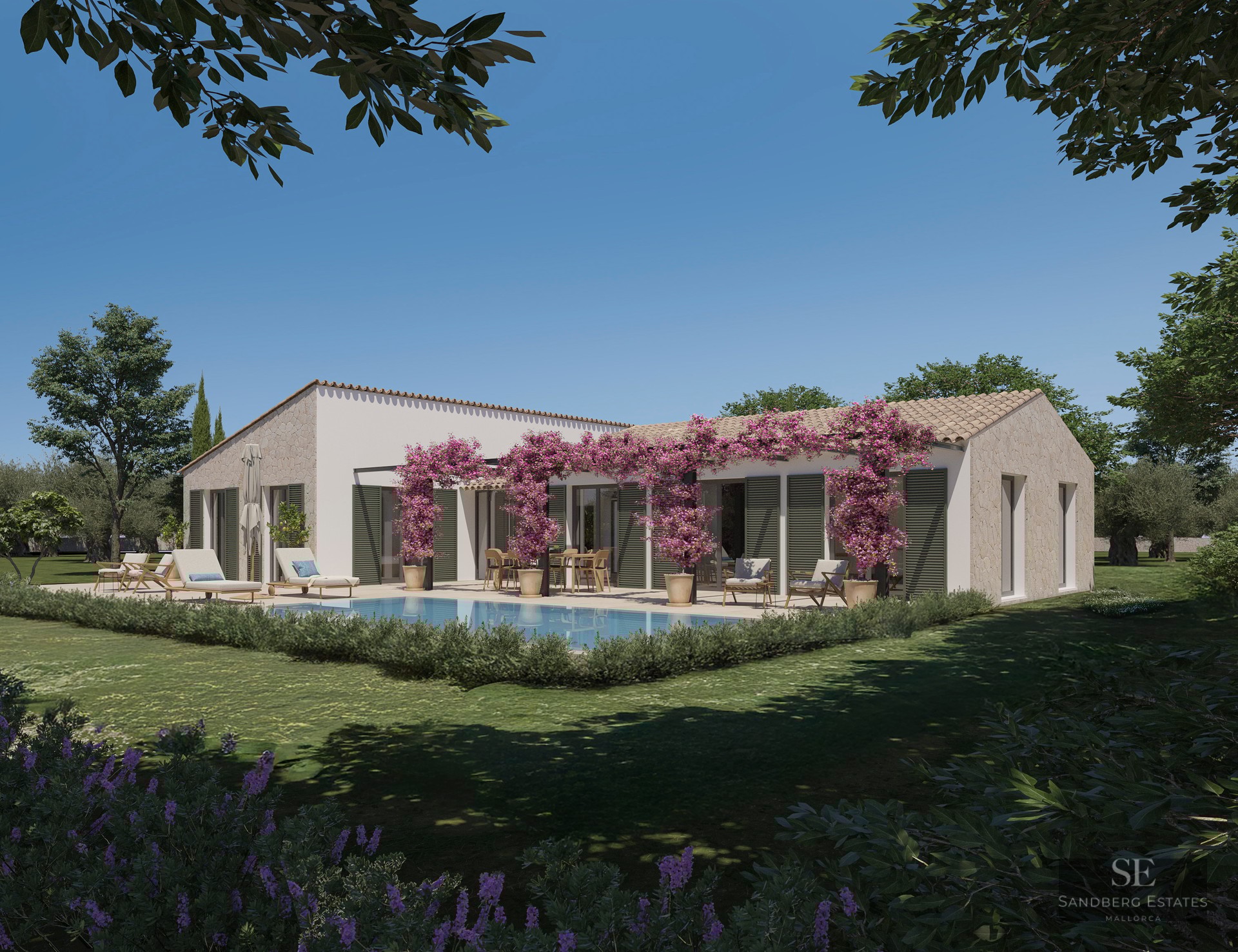 Modern one-story villa with a turquoise pool, lush garden, and pink bougainvillea climbing a pergola under a blue sky.