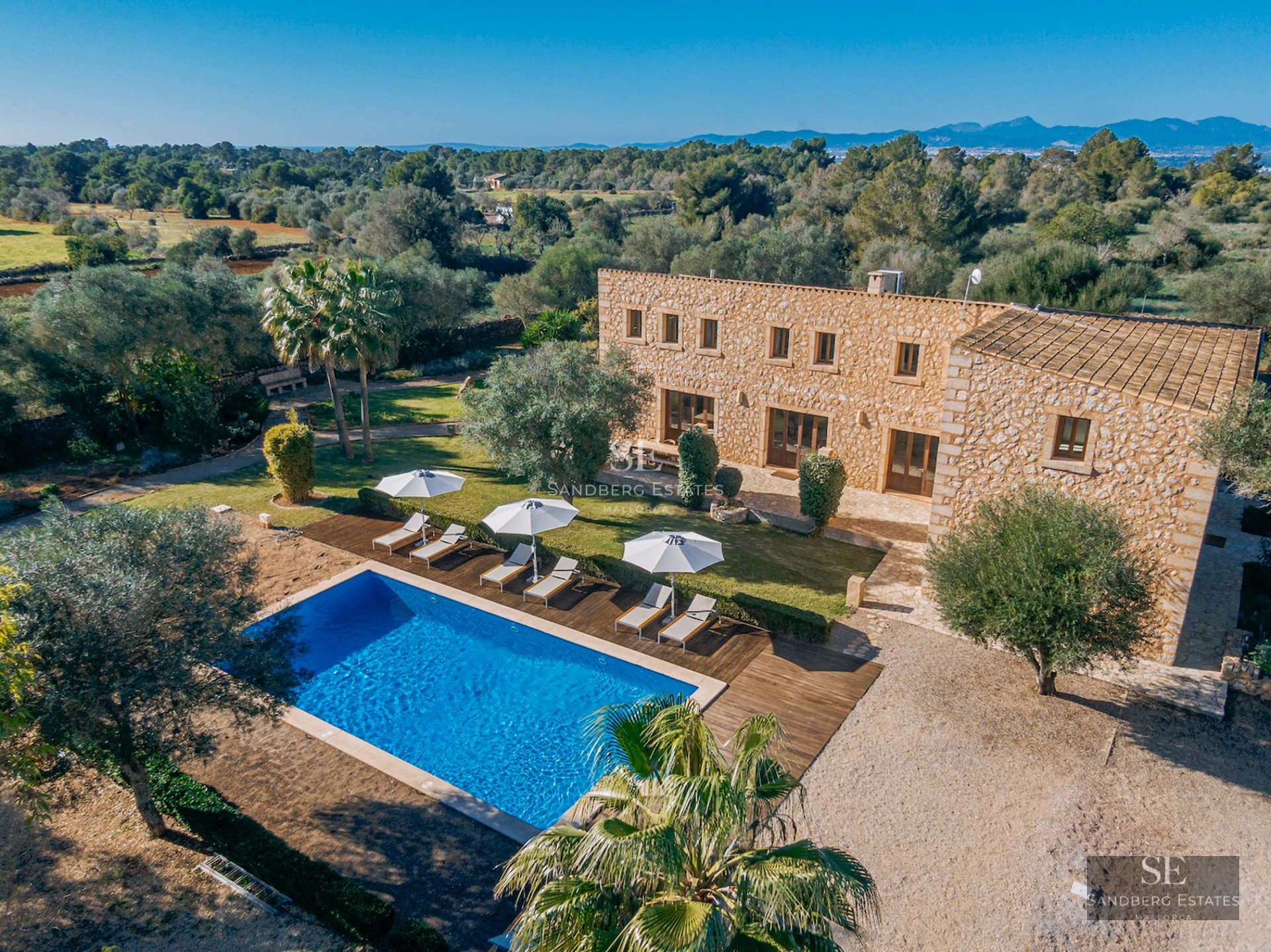 Exterior view of a modern house with pool. Minimalist design, large windows, infinity pool, and lush vegetation.