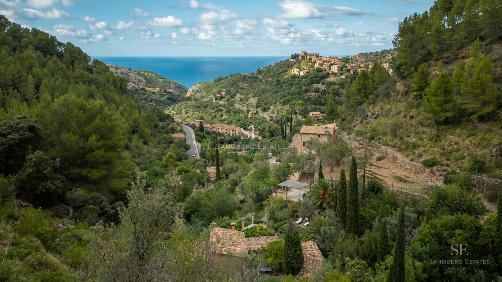 Spacious pool with wooden deck and view of lush garden. Modern and elegant design. Natural lighting. Luxurious details.