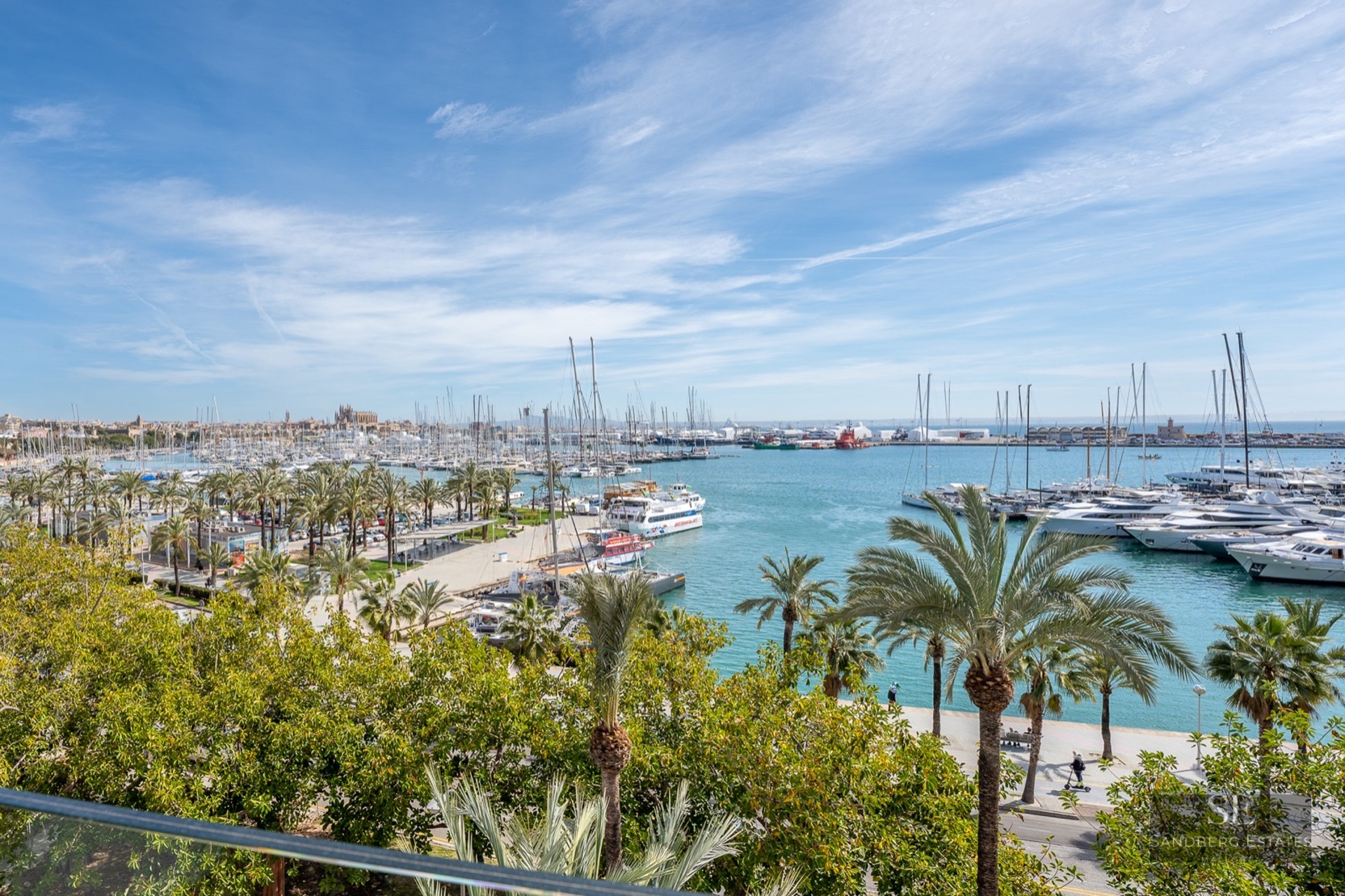 Panoramic view of a Mediterranean harbor filled with yachts and palm trees with a historic cathedral in the distance.