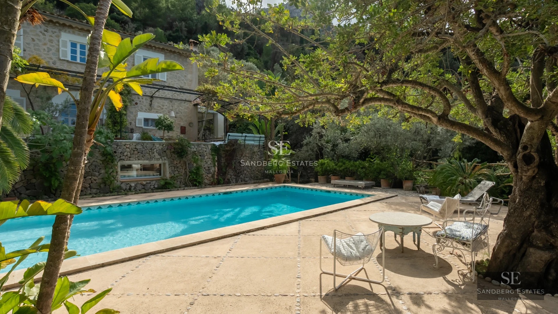 Exterior view of modern house with pool. Minimalist architecture, large windows, garden and sleek design.