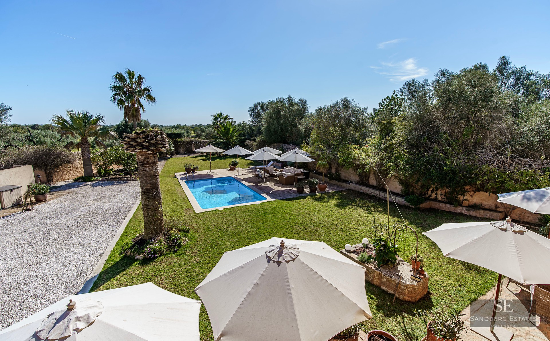Elevated view of a blue swimming pool surrounded by green lawns, white umbrellas, and palm trees in a sunny garden.