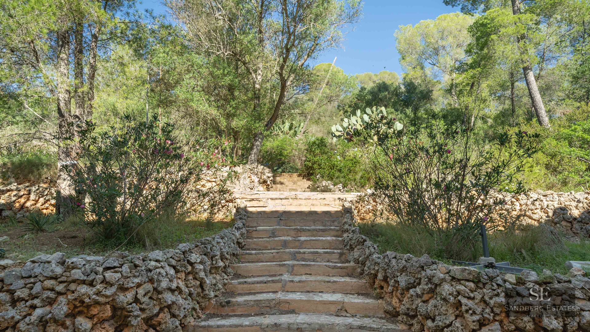 Natural stone steps flanked by dry stone walls and Mediterranean vegetation under a clear blue sky.
