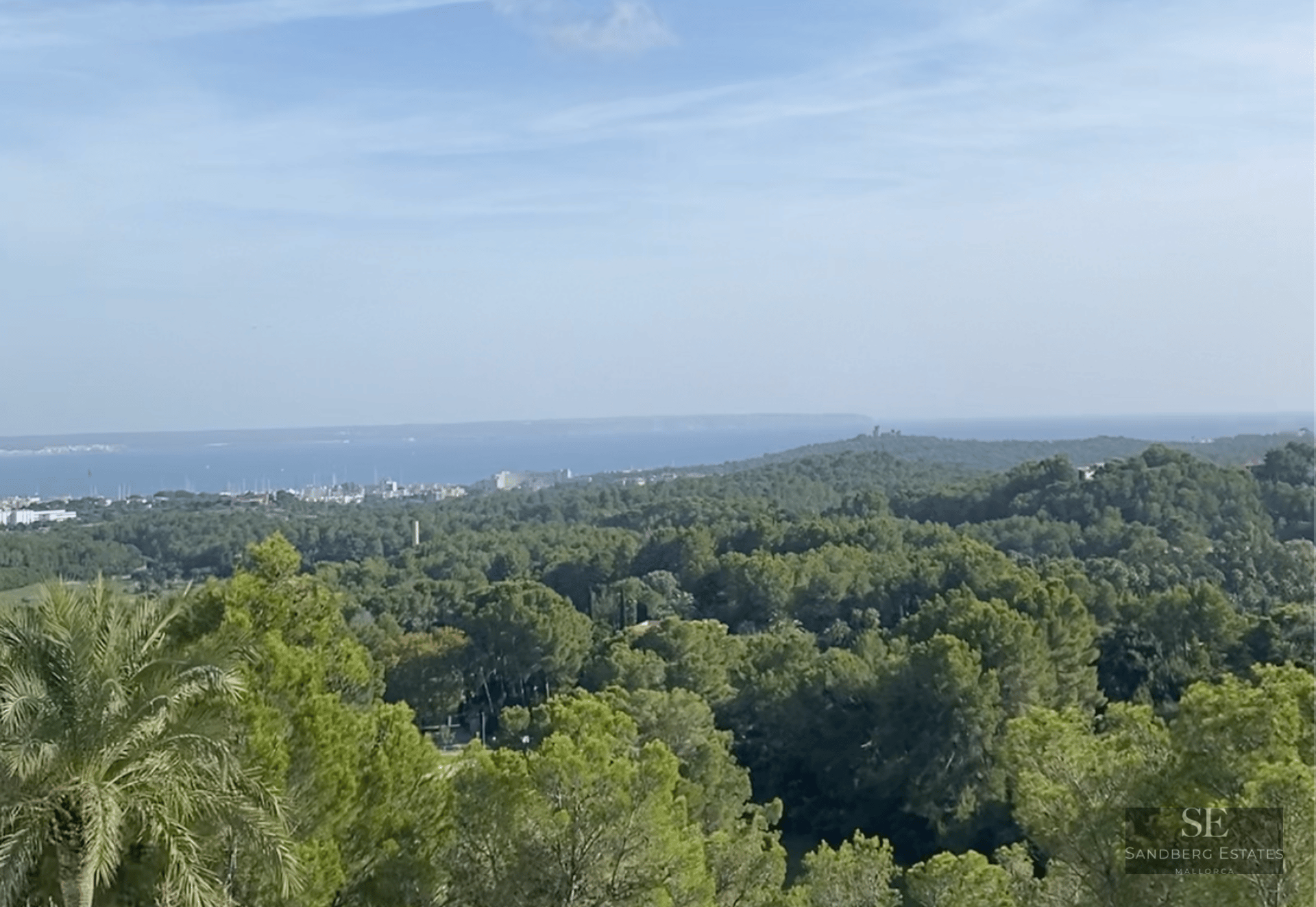 Panoramic view of a lush pine forest extending toward a coastal city and the blue sea under a clear sky.