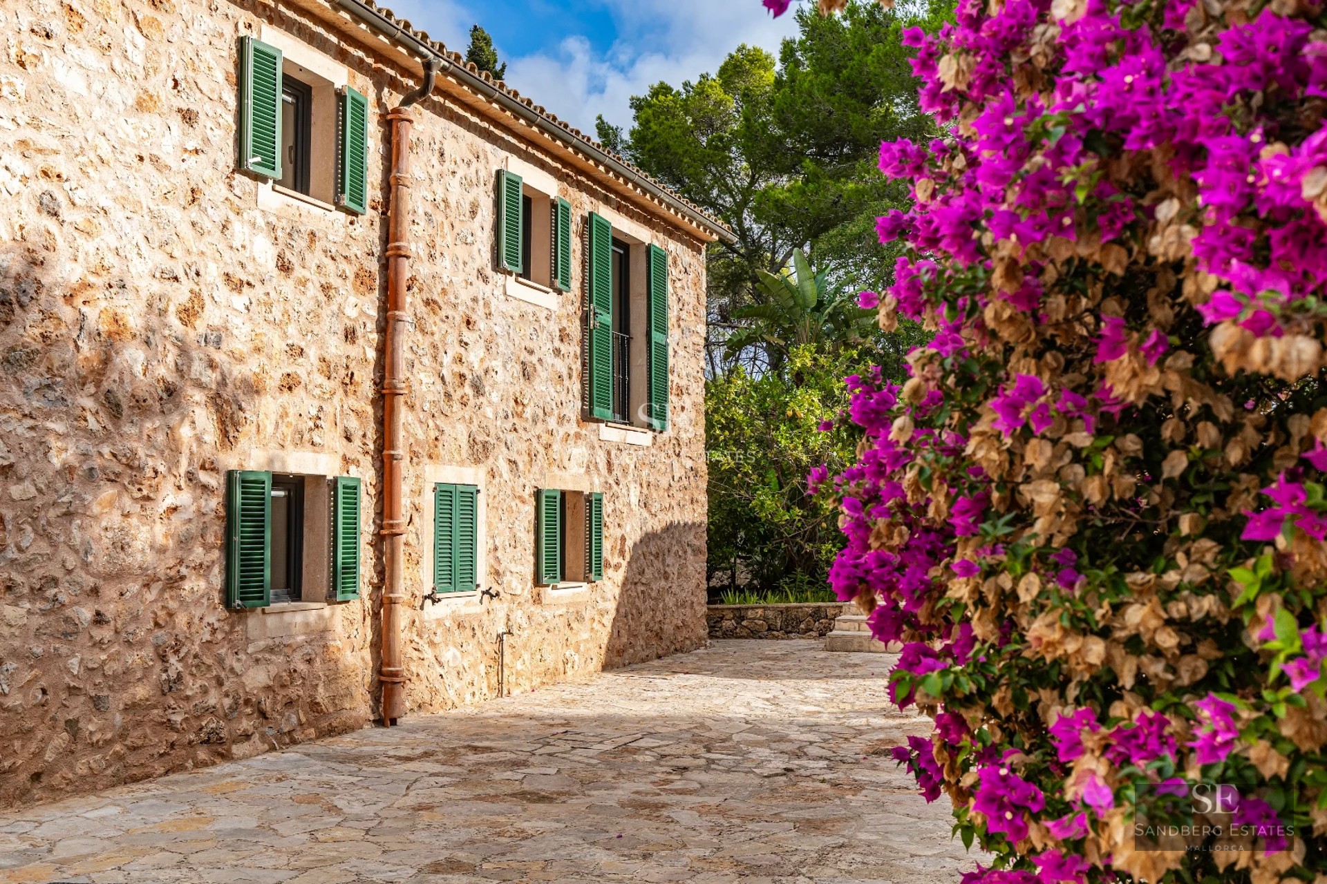Image of a swimming pool surrounded by a lush garden. Modern design, minimalist architecture, and relaxing atmosphere.