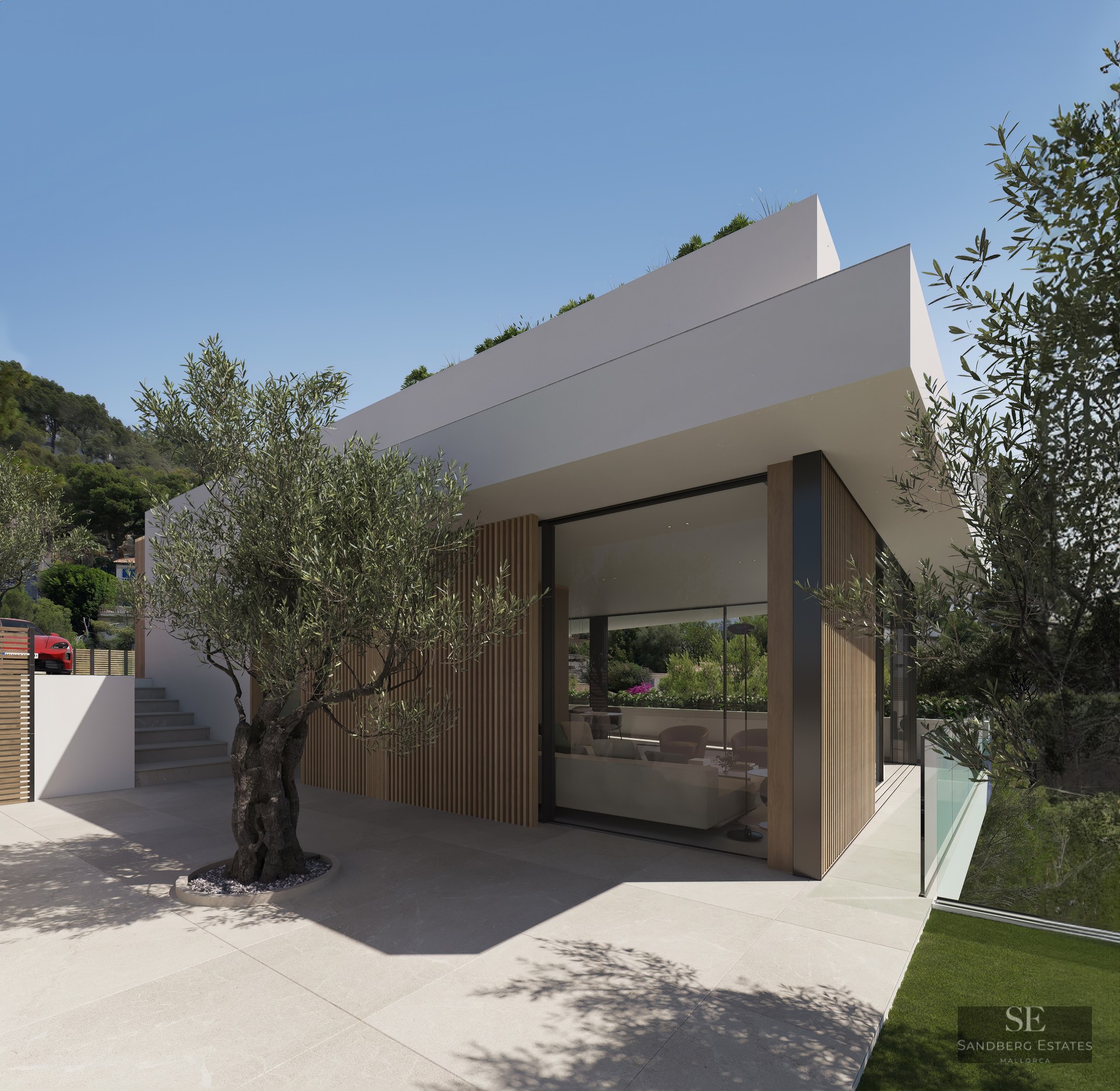 Modern white architecture featuring wood slats, large glass windows, and a mature olive tree on a stone terrace.