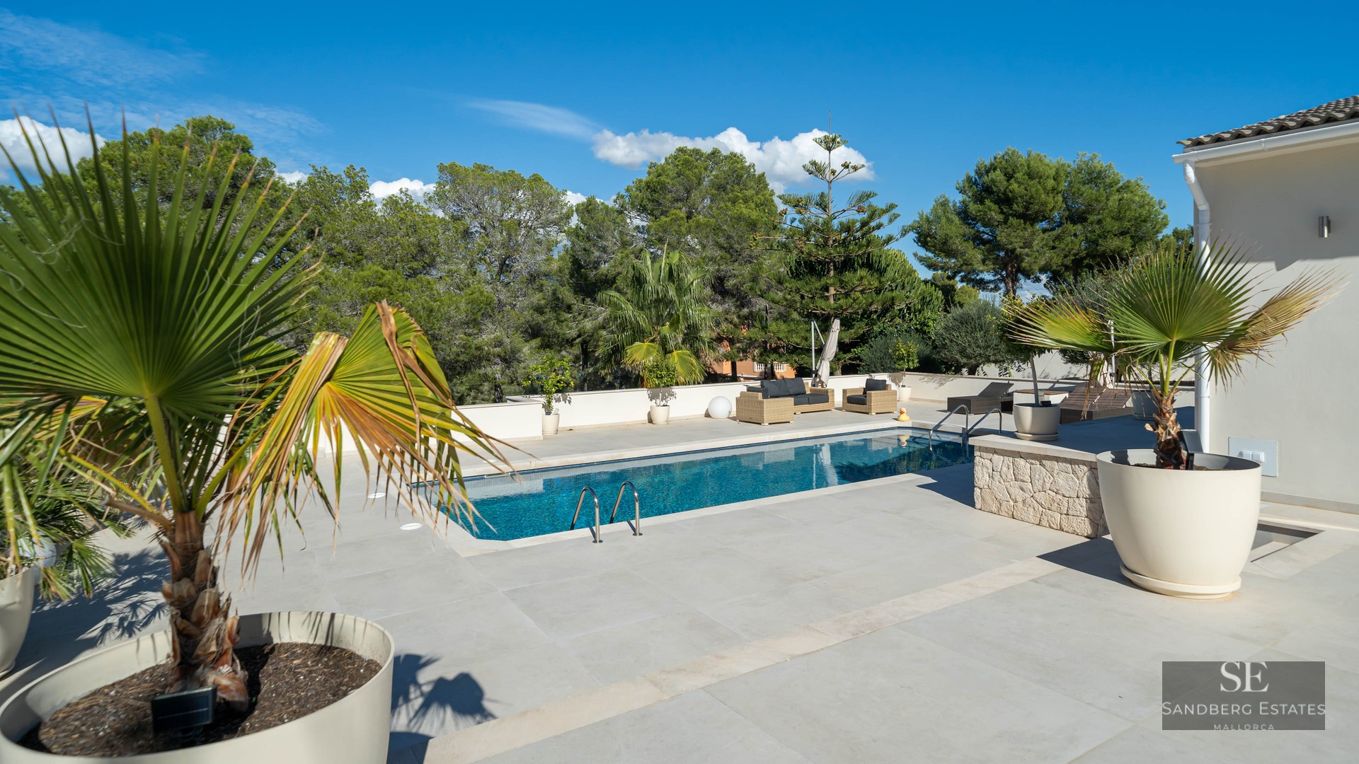 Piscine rectangulaire à l'eau cristalline, entourée de dalles grises et de palmiers en pots sous un ciel bleu.