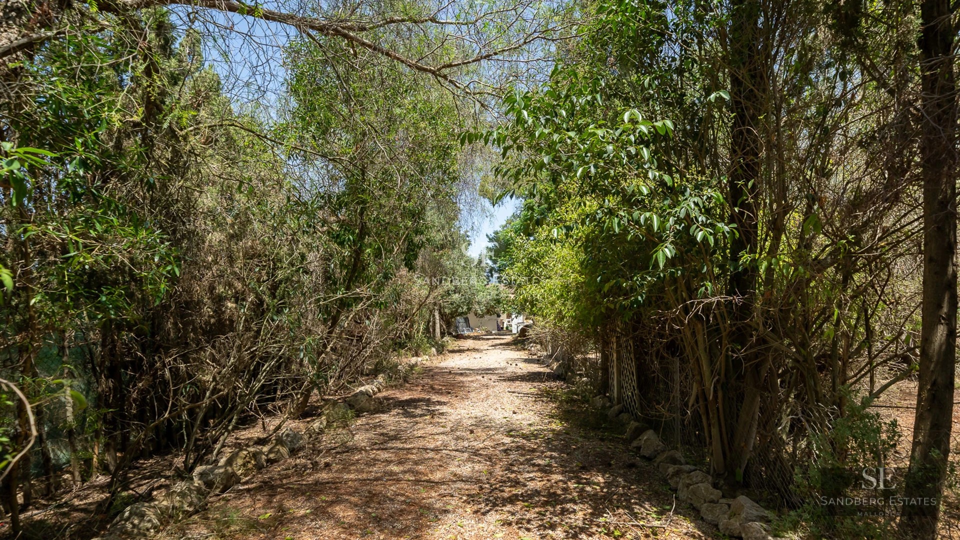 Aerial view of a modern villa featuring a pool, manicured garden and minimalist design. Natural light highlights the architecture.
